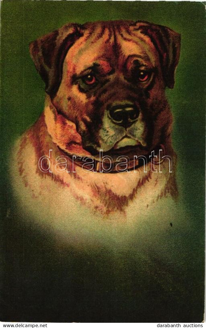 T2 Dog, Wenau-Pastell No. 612. Litho - Ohne Zuordnung