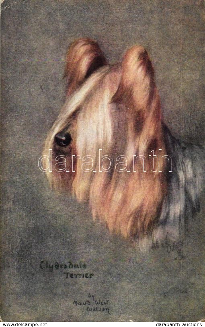 * T2/T3 Clydesdale Terrier, Raphael Tuck & Sons Oilette Sketchy Dog Studies 8638. S: Maud West Watson (EK) - Ohne Zuordnung