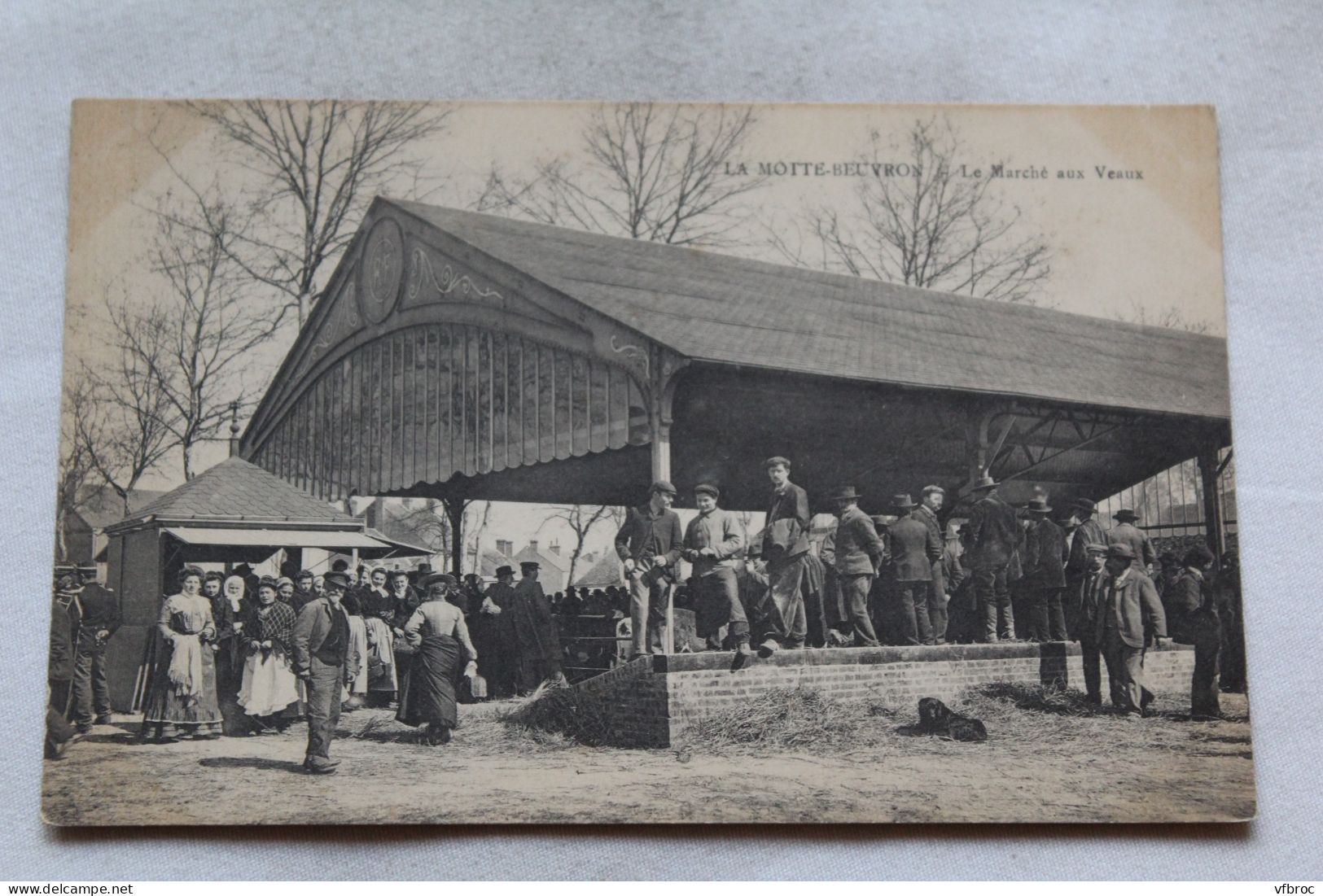 Lamotte Beuvron, La Motte Beuvron, Le Marché Aux Veaux, Loir Et Cher 41 - Lamotte Beuvron