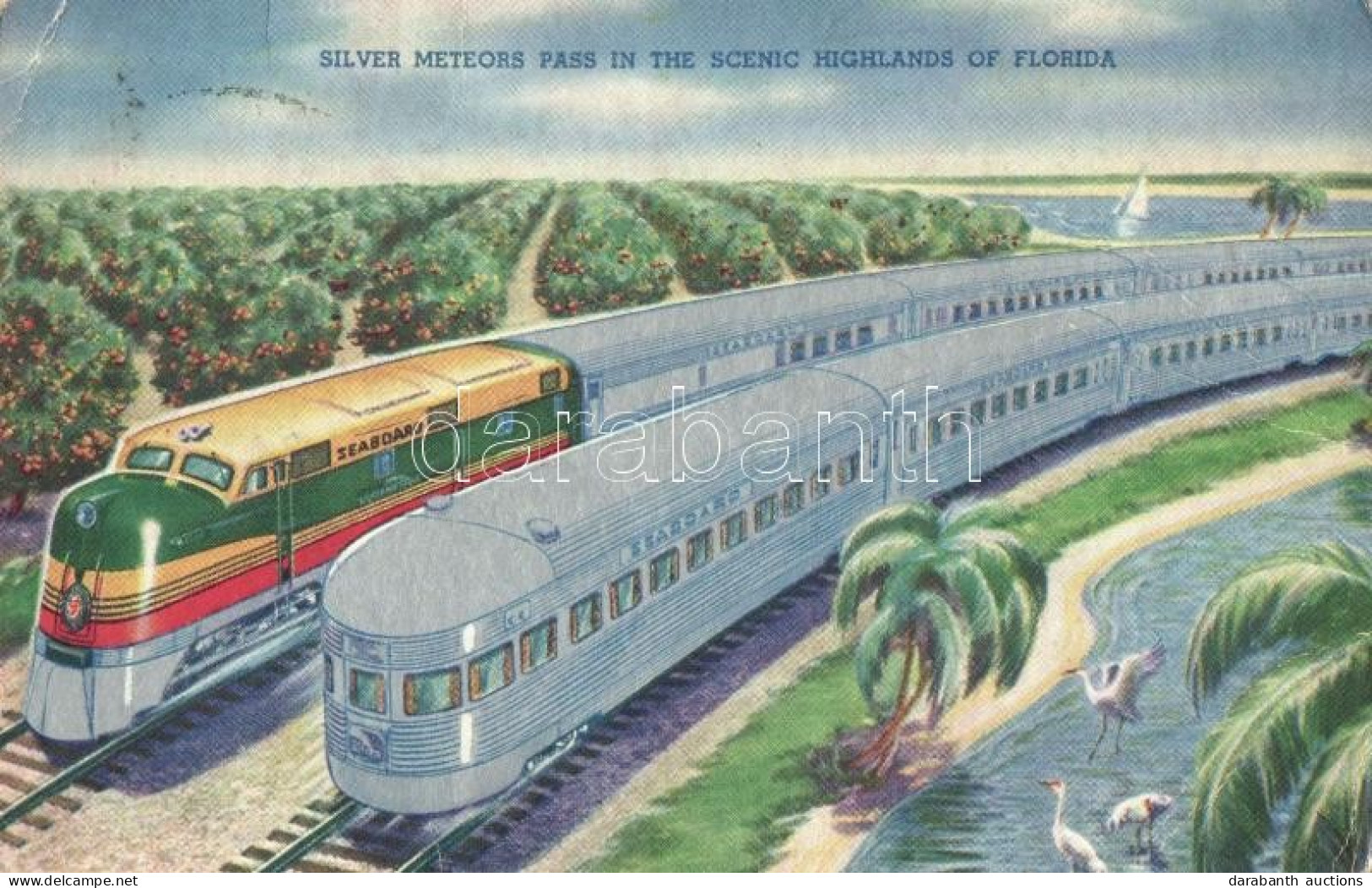 T2/T3 Silver Meteors Pass In The Scenic Highlands Of Florida, Silver Decoration (EK) - Zonder Classificatie