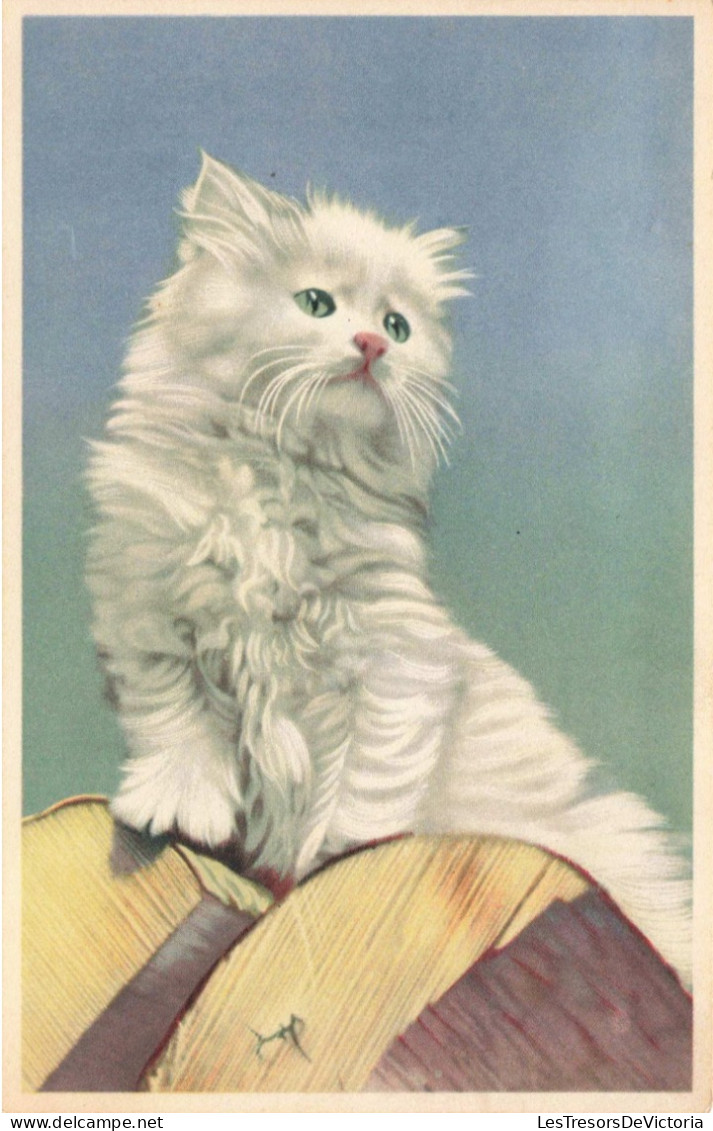 ANIMAUX - FAUNE - Chat - Colorisé - Carte Postale Ancienne - Chats