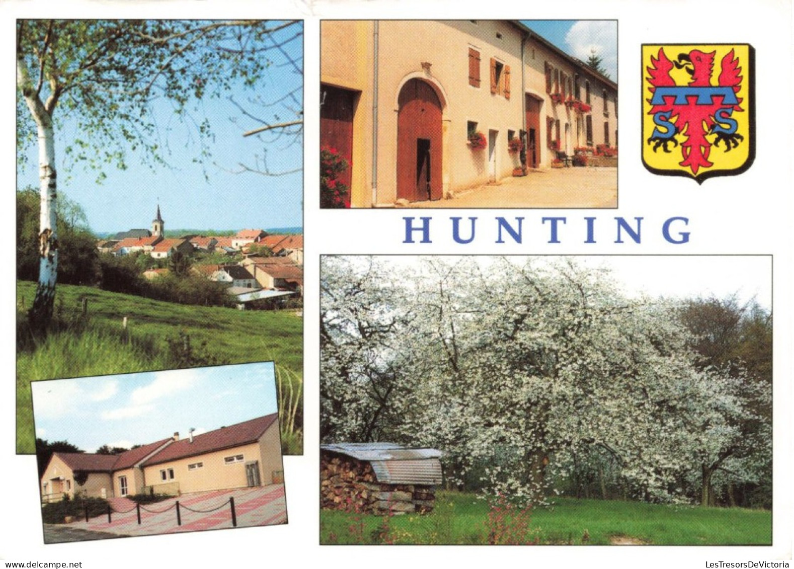 FRANCE - Hunting - Vue Générale - Salle Polyvalente - Colorisé - Carte Postale Ancienne - Thionville