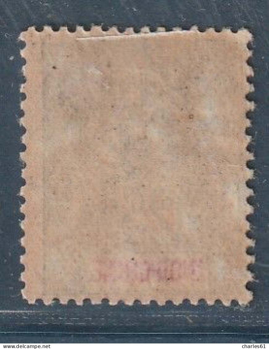 CANTON - N°24 * (1903-04) 25c Noir Sur Rose - Neufs