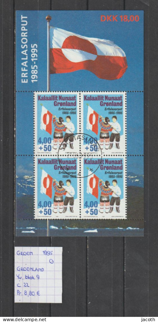 (TJ) Groenland 1995 - YT Blok 9 (gest./obl./used) - Blocks & Sheetlets