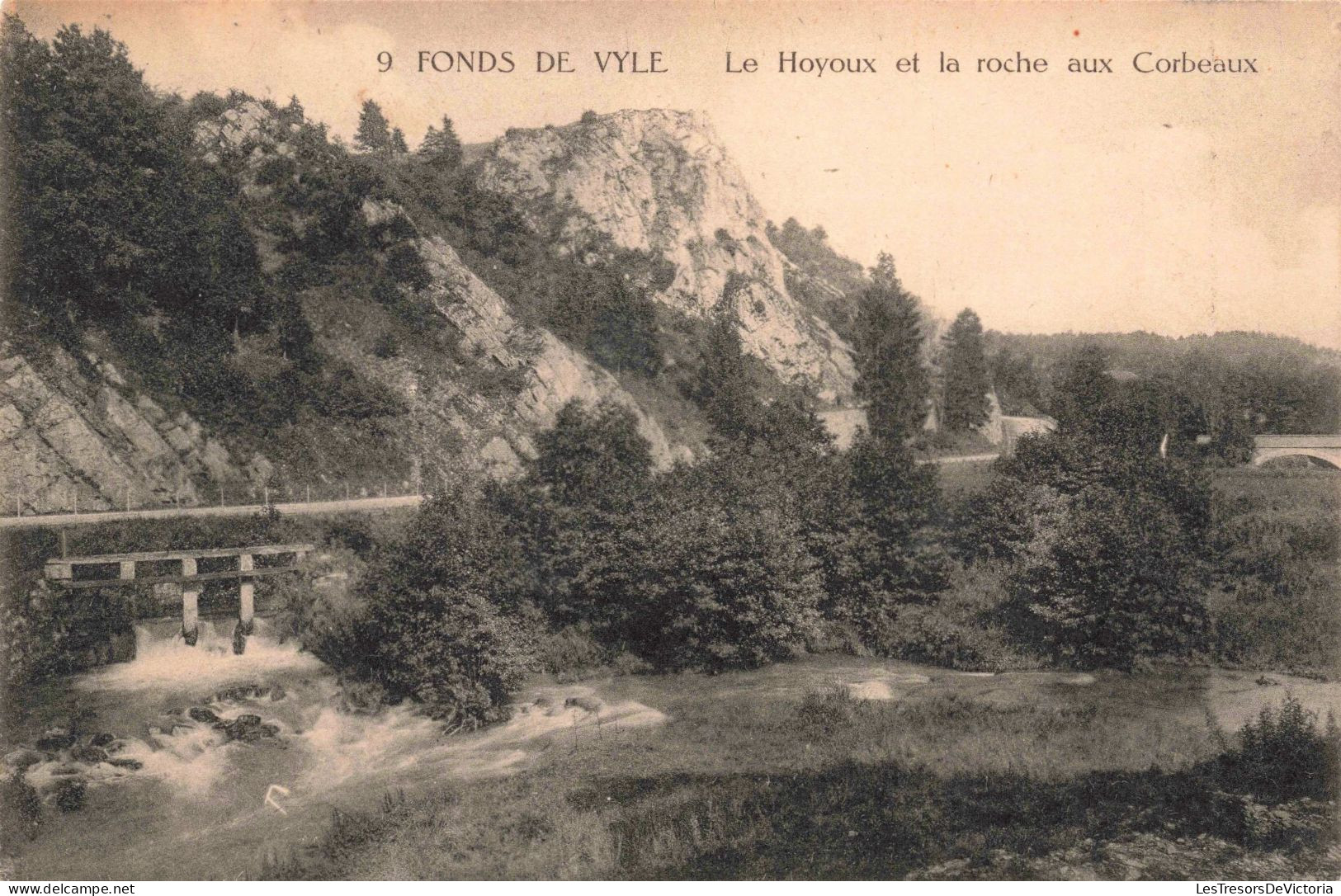 BELGIQUE - FONDS DE VYLE - Le Hoyoux Et La Roche Aux Corbeaux - Carte Postale Ancienne - Huy