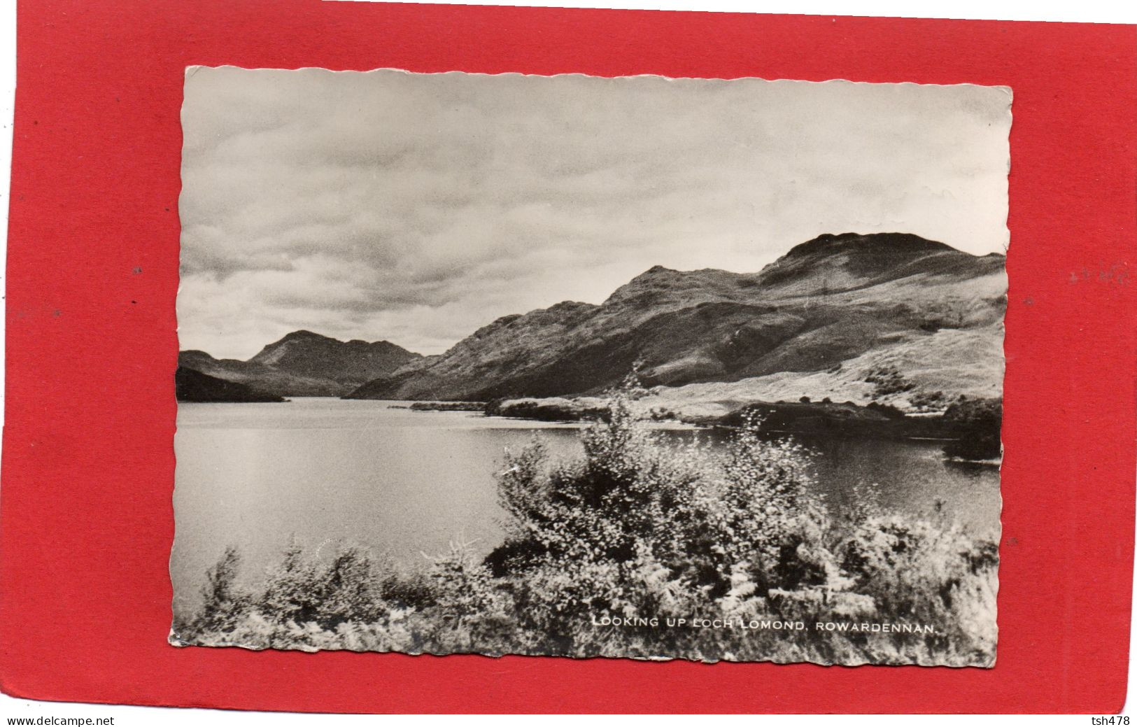 ECOSSE---Looking Up Loch Lomond, ROWARDENNAN---voir 2 Scans - Stirlingshire