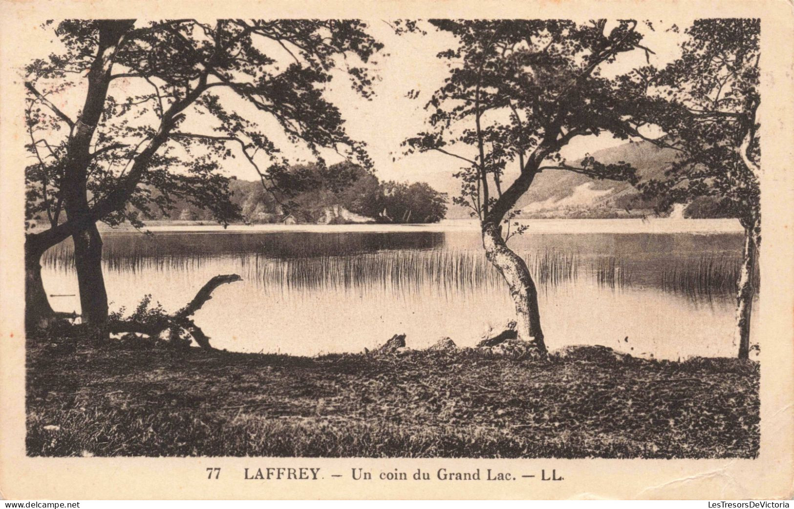 FRANCE - Laffrey - Un Coin Du Grand Lac - LL - Carte Postale Ancienne - Laffrey