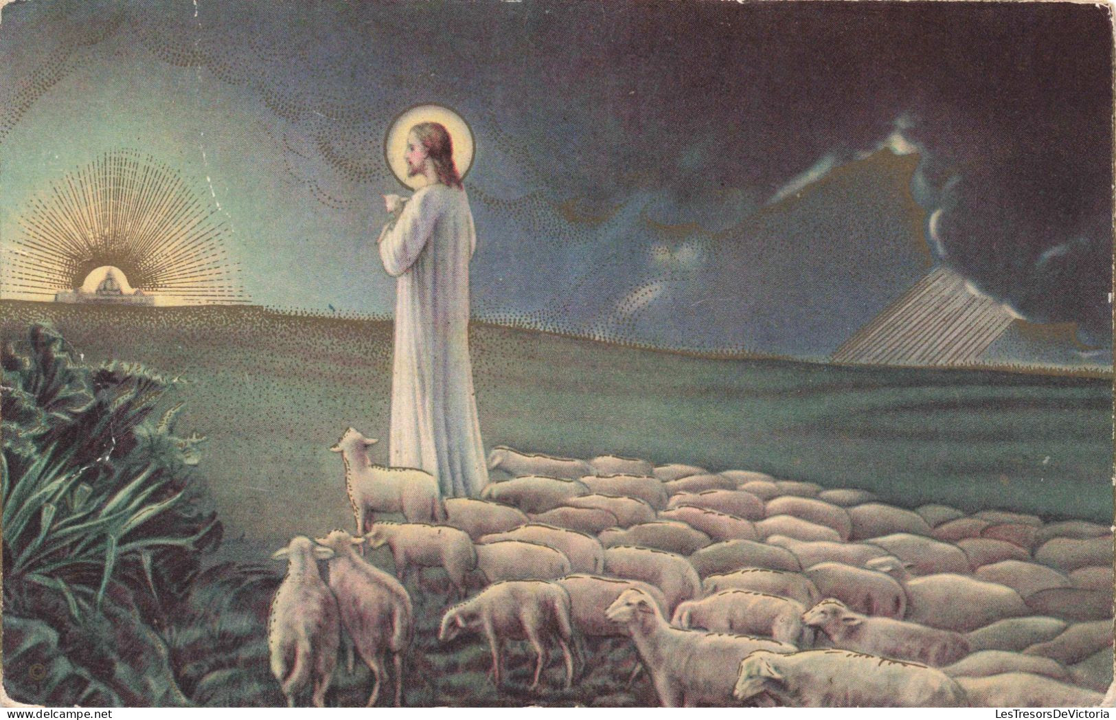 PHOTOGRAPHIE - Jésus - Troupeau De Moutons - Colorisé - Carte Postale Ancienne - Fotografie