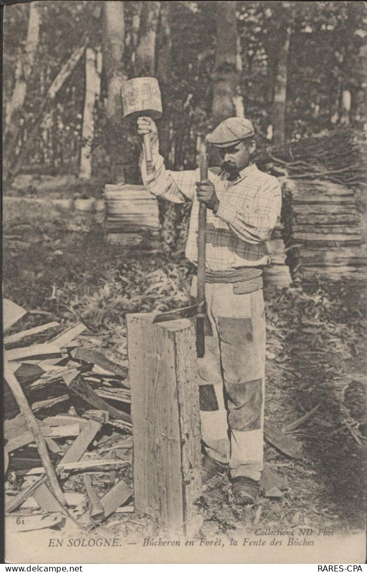 41 BLOIS - BUCHERON EN FORET, LA FENTE DES BUCHES - RCPA 08 - Blois