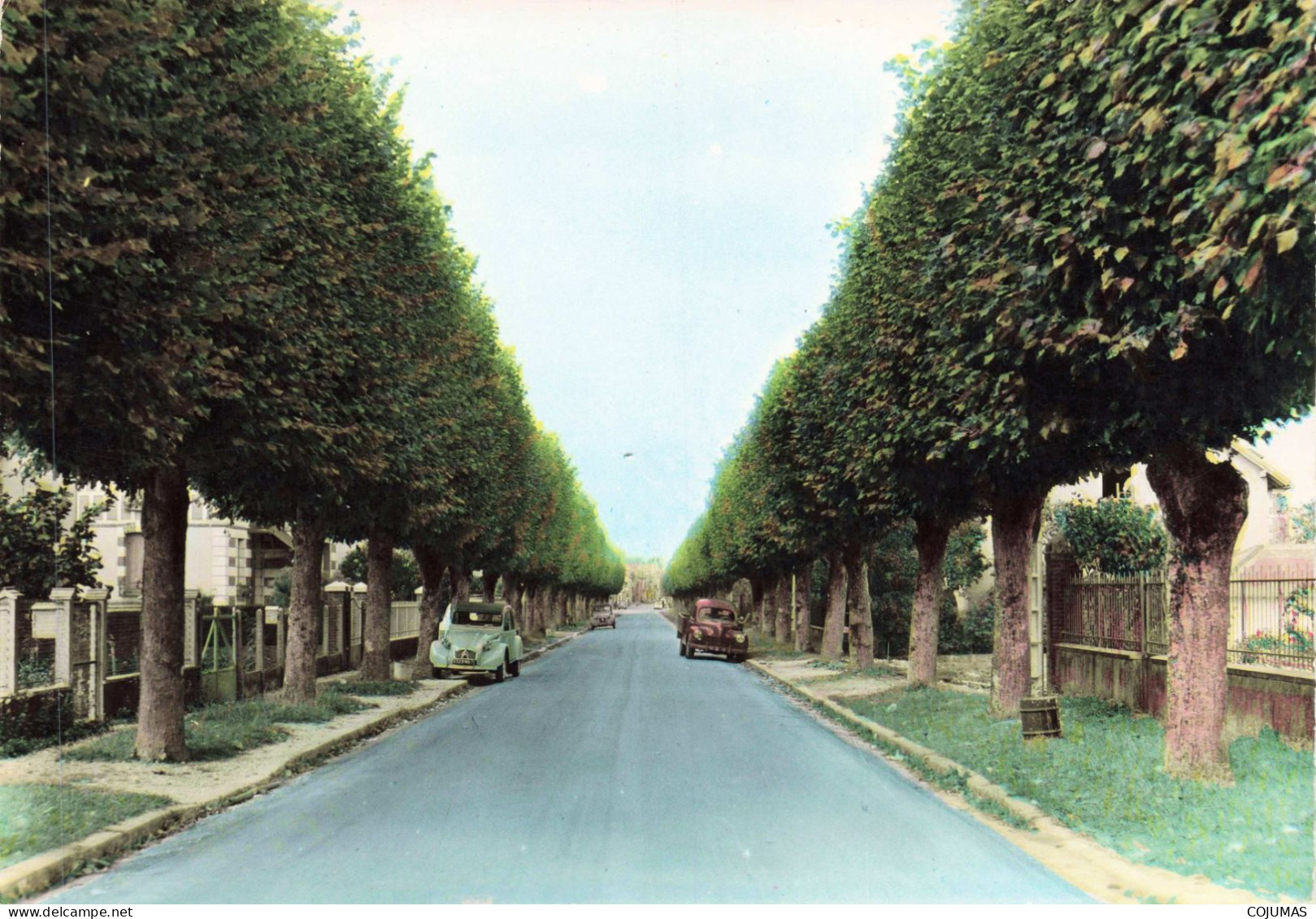 89 - CHARNY _C00377_  L'avenue De La Gare  - CPSM - 15x10 Cm - Charny