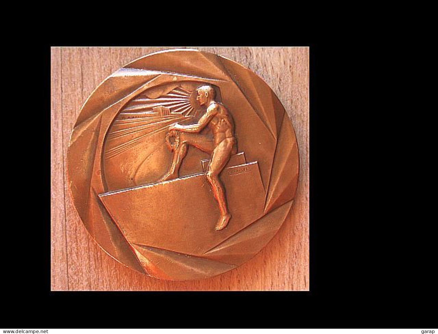 D3-627 Médaille Bronze Gravée Fraise,au Dos H.Dubois.avec Sculpture Végétale,diamètre=50mm,pds=71,80g - Andere & Zonder Classificatie