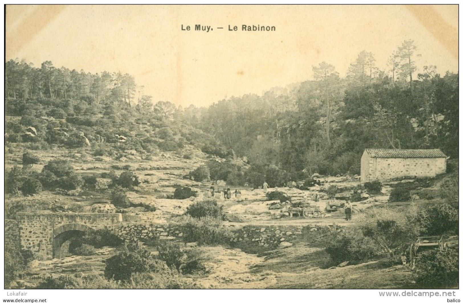 83 - Le Muy - Le Rabinon - Le Muy