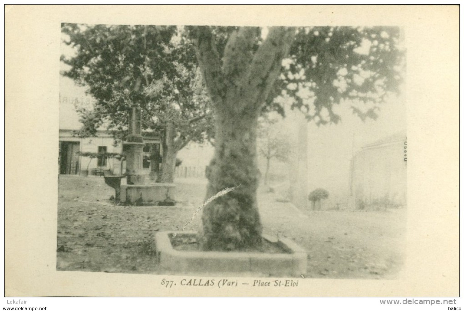 83 - Callas, Place St. Eloi - Callas