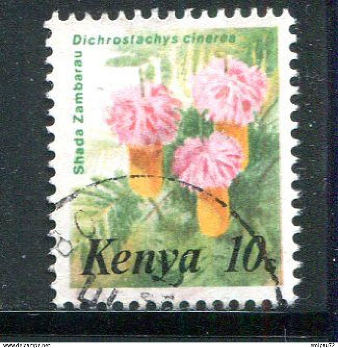 KENYA- Y&T N°241- Oblitéré (fleurs) - Kenya (1963-...)
