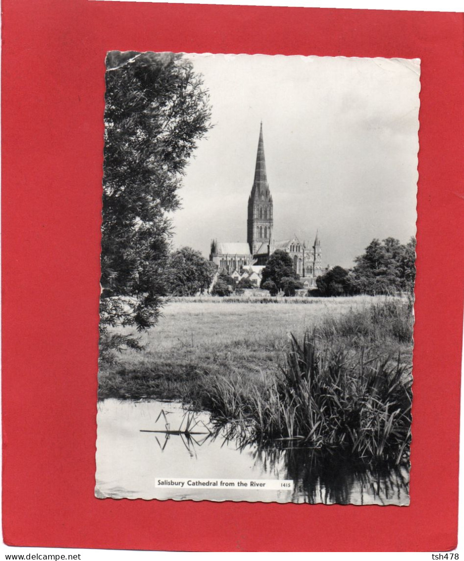 ANGLETERRE----SALISBURY Cathedral From The River--voir 2 Scans - Salisbury