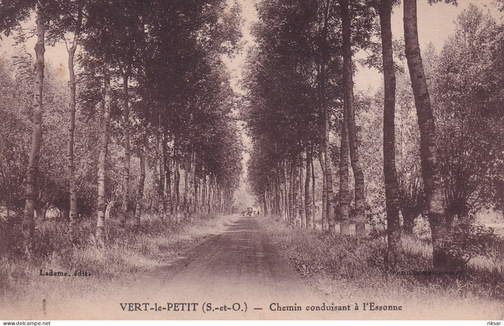 VERT LE PETIT(ARBRE) - Vert-le-Petit