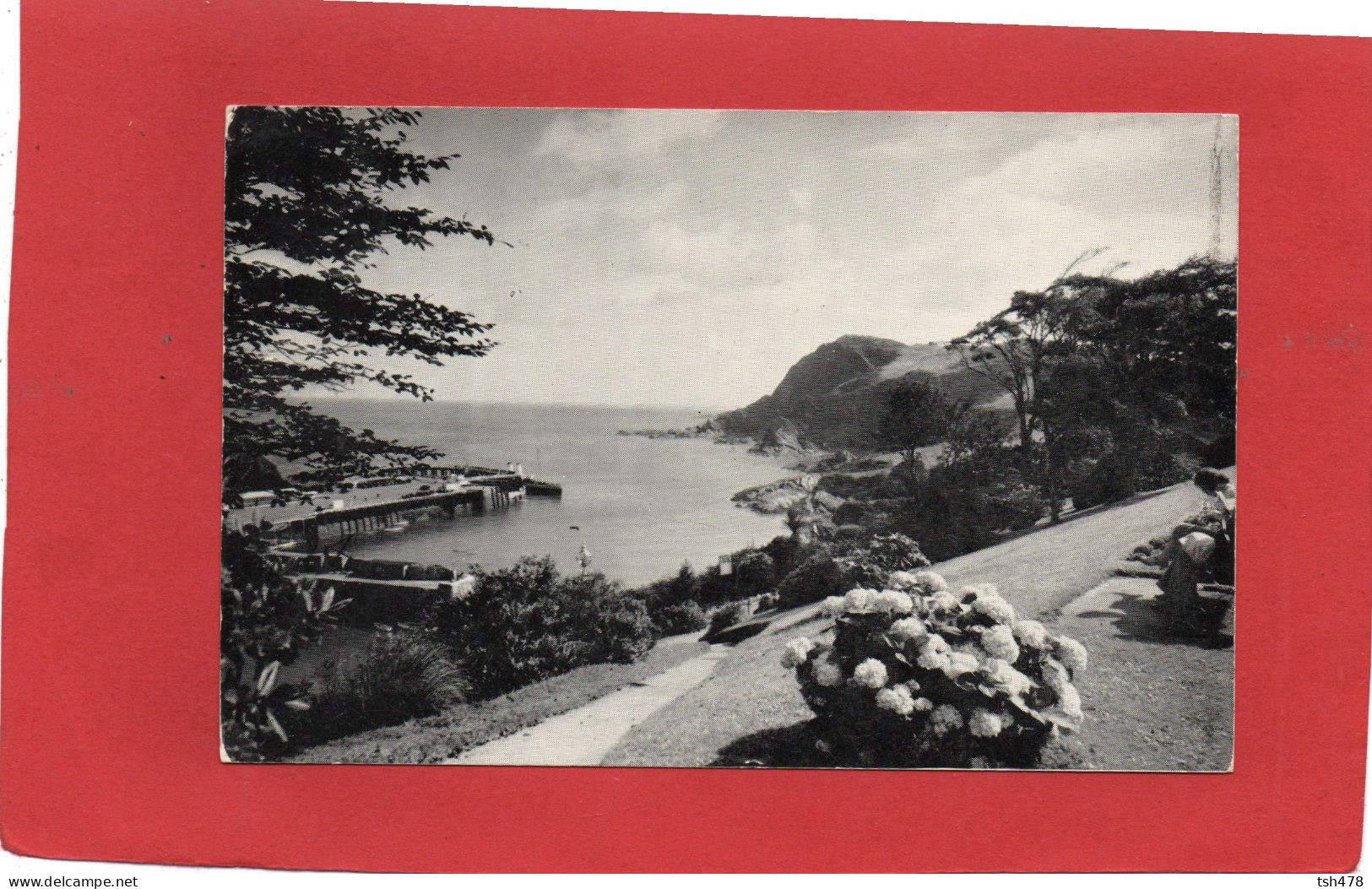 ANGLETERRE----ILFRACOMBE--View From St. James' Park--voir 2 Scans - Ilfracombe