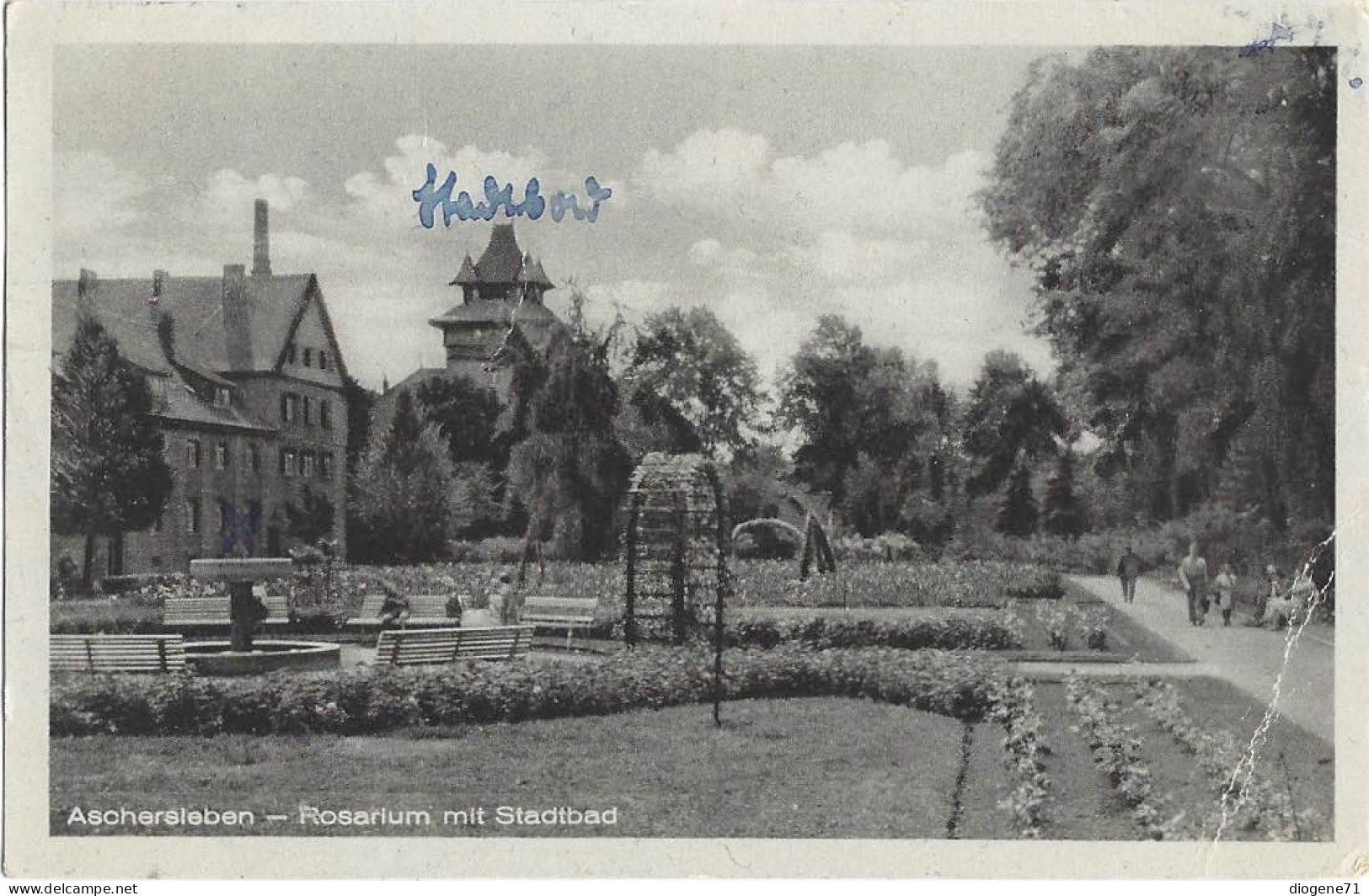 Aschersleben Rosarium Mit Stadtbad 1955 - Aschersleben