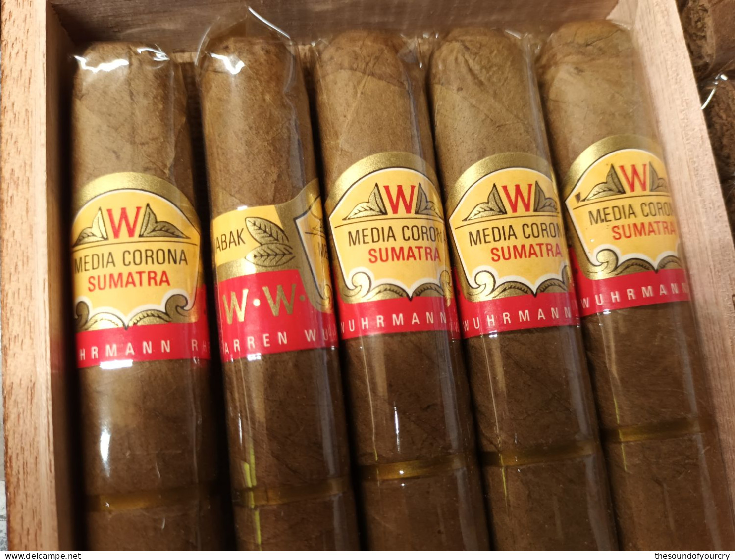 Sigarenbanden + Kist  Media Corona Sumatra - Caves à Cigares Vides