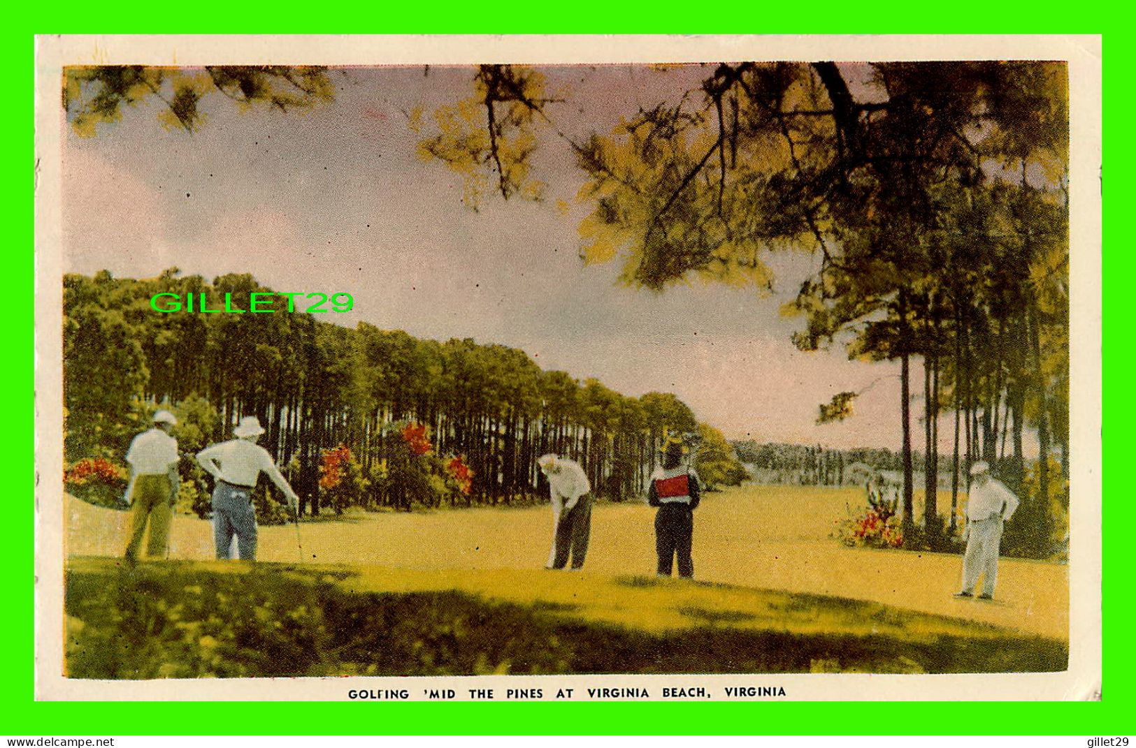 VIRGINIA BEACH, VA - GOLFING  ' MID THE PINES '  ANIMATED WITH PEOPLES - FOTOCOLOR - - Virginia Beach