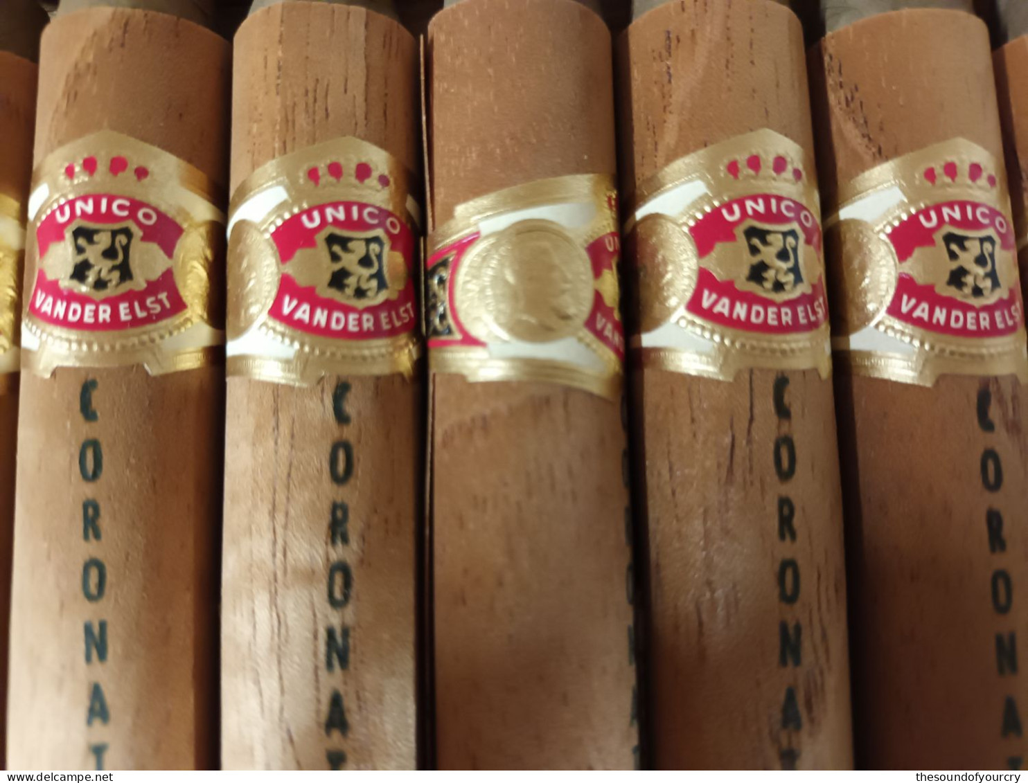 Sigarenbanden + Kist  Unico Vanderelst 20 Stuks - Caves à Cigares Vides