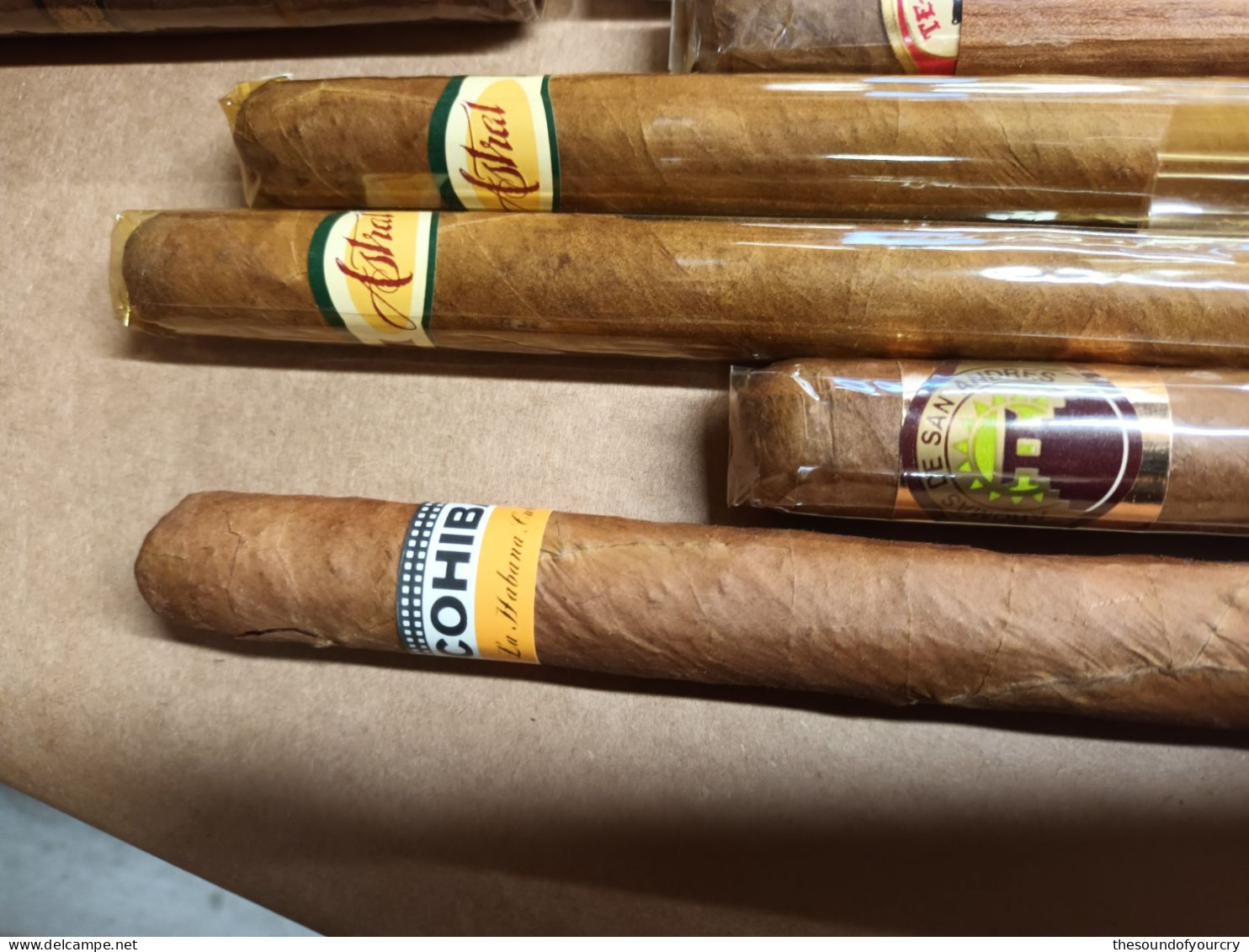 Sigarenbanden   Cuba Cohiba   22 Stuks - Empty Cigar Cabinet