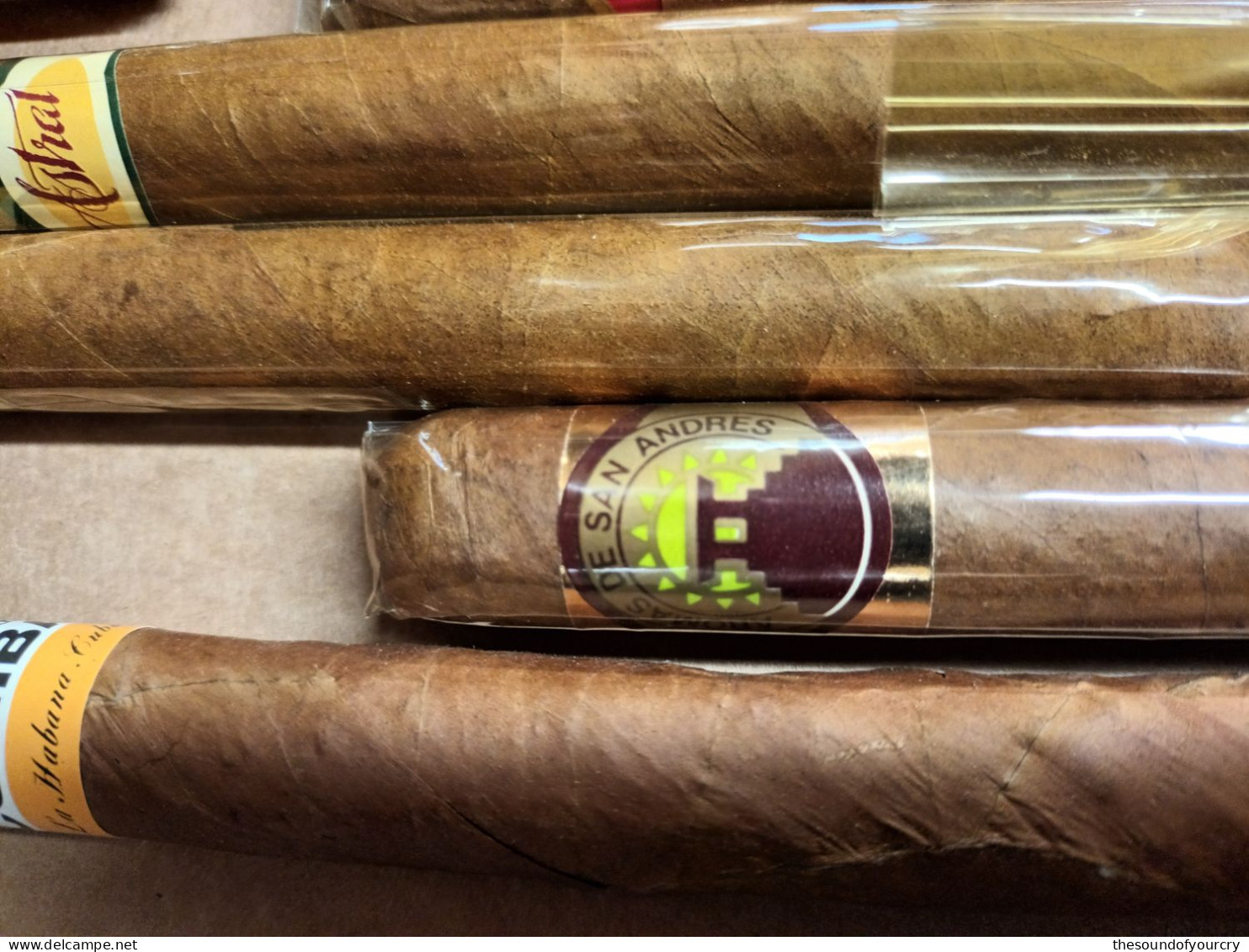 Sigarenbanden   Cuba Cohiba   22 Stuks - Scatola Di Sigari (vuote)