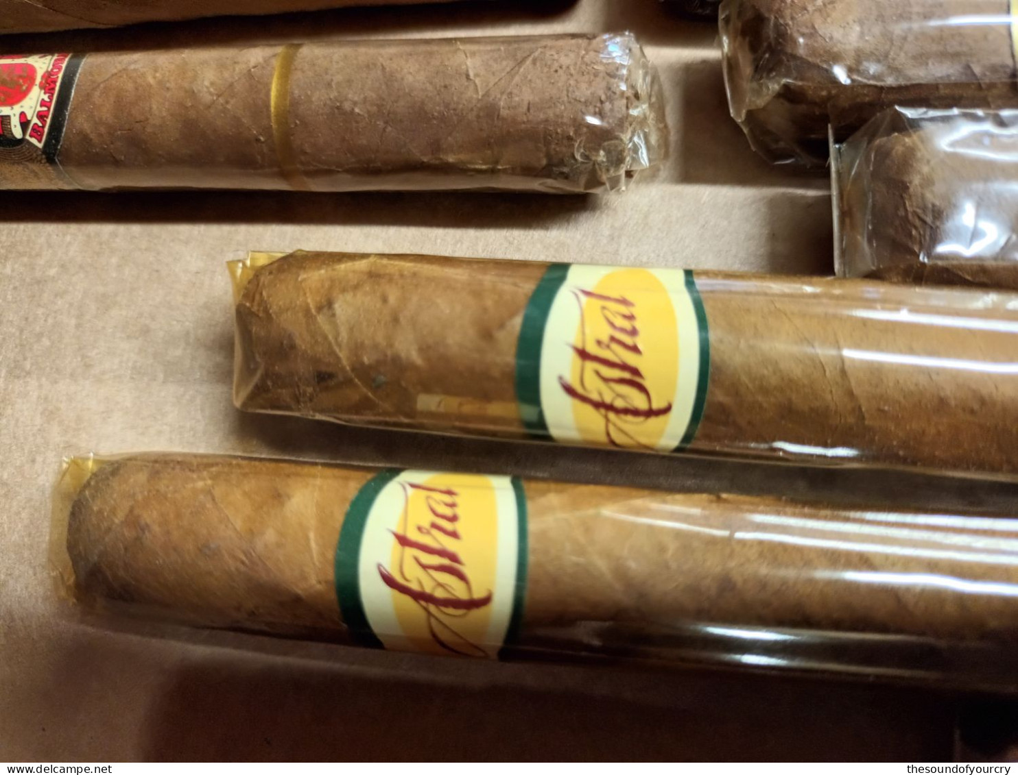 Sigarenbanden   Cuba Cohiba   22 Stuks - Empty Cigar Cabinet