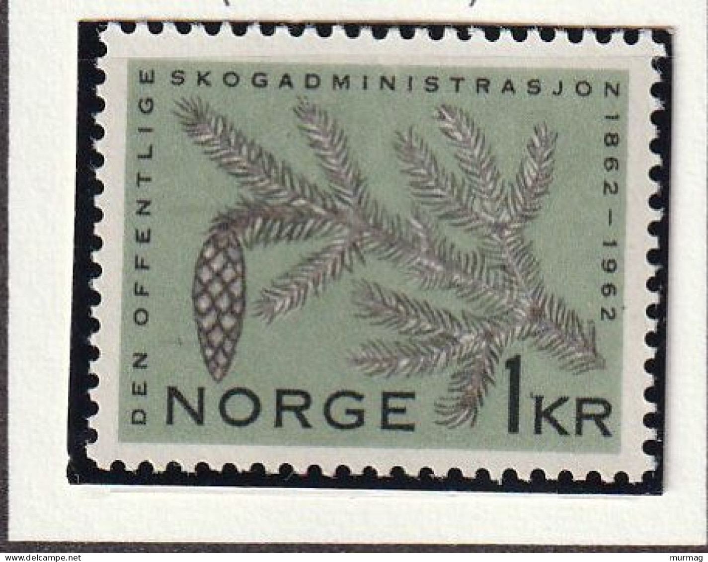 NORVEGE - Epicéq (abiétacées ) - Y&T N° 427 - 1962 - MH - Ungebraucht