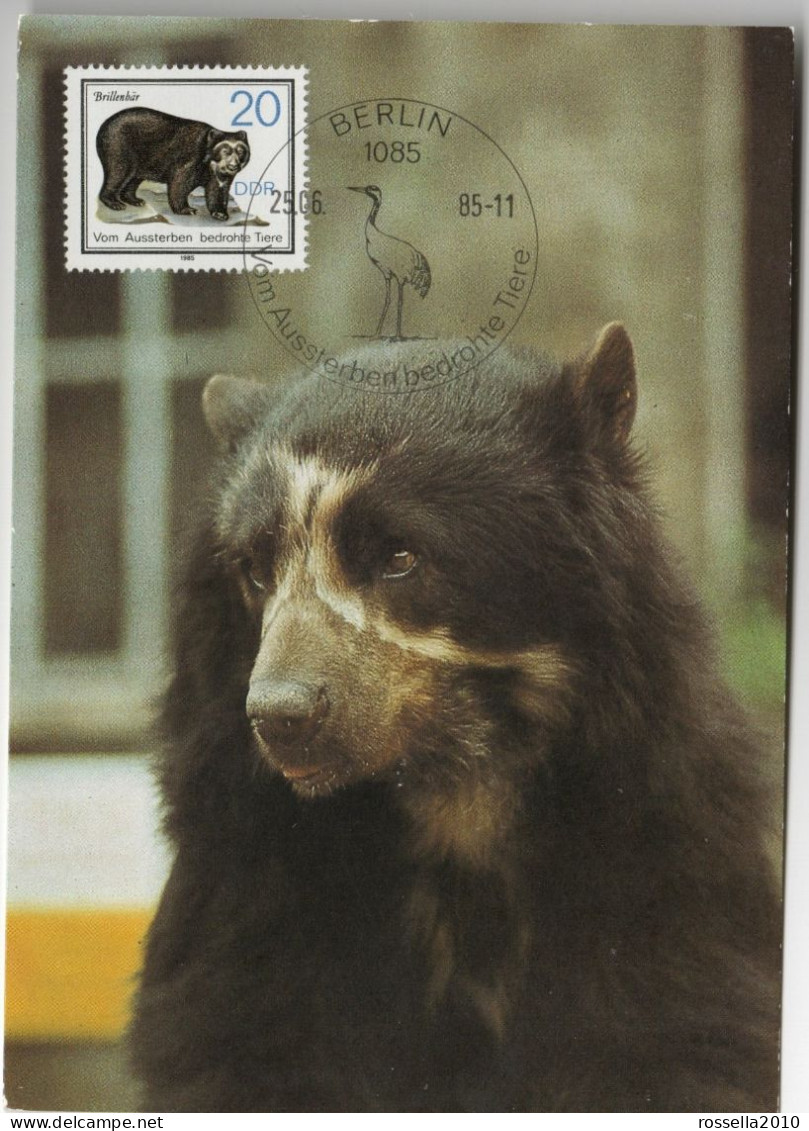 CARTOLINA MAXIMUM GERMANIA ZOO DRESDA BRILLENBAR ORSO CON GLI OCCHIALI GERMANY Postcard DEUTSCHLAND Ansichtskarten - Cartas Máxima