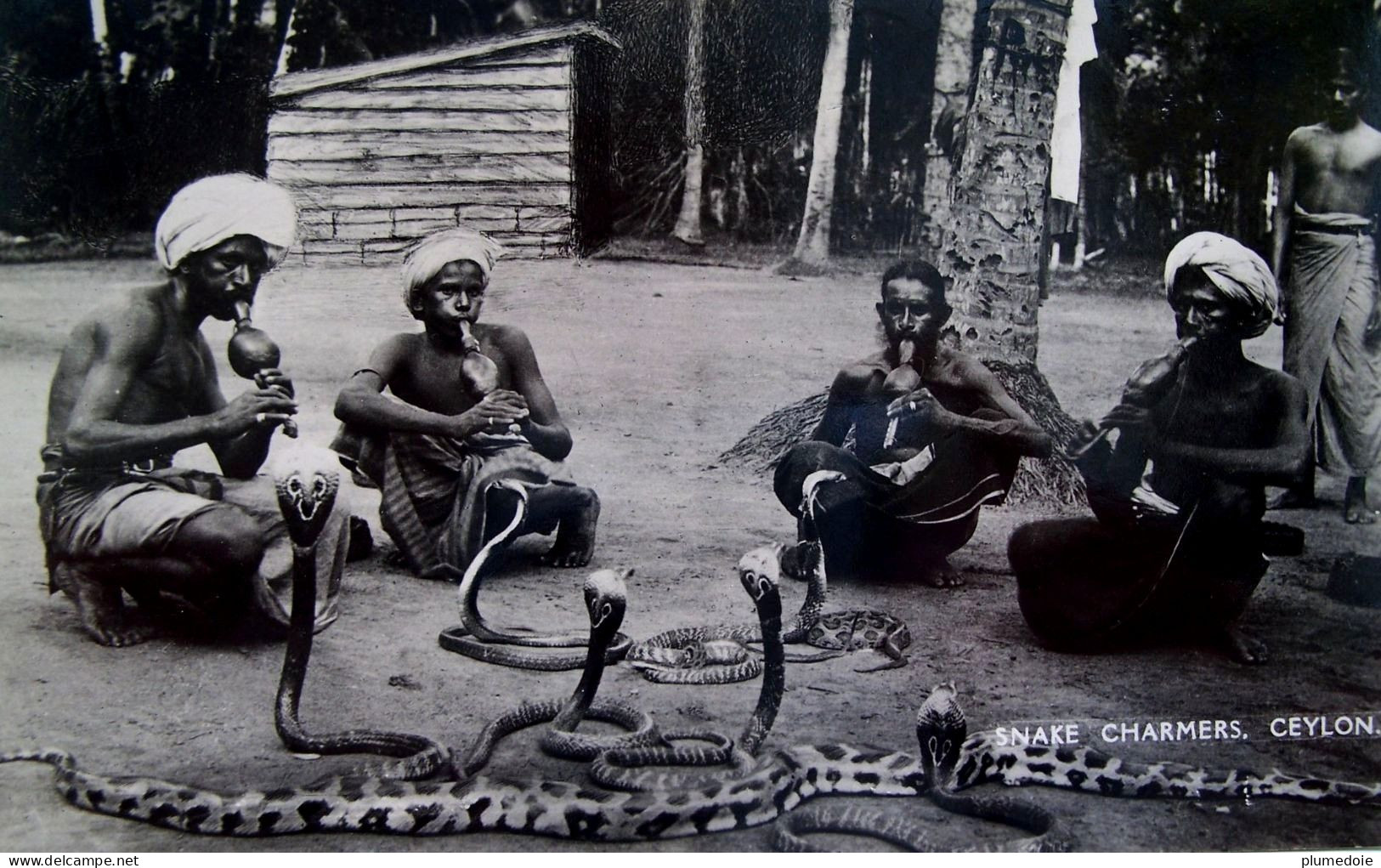 Cpa CEYLON INDE DRESSEURS CHARMEURS De SERPENTS , SNAKE CHARMERS CEYLON INDIA Real Photo PLÂTE OLD PC - Azië