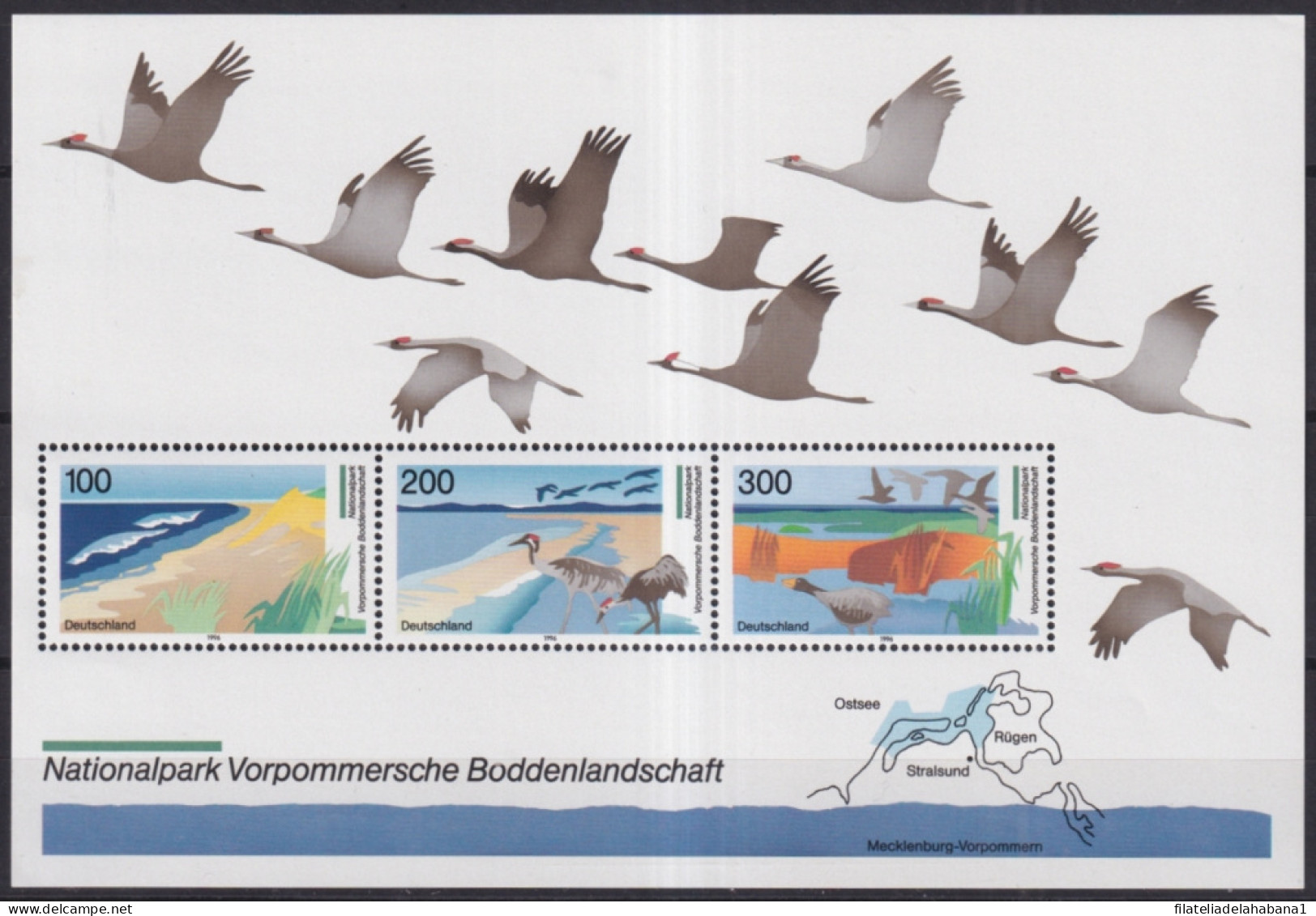 F-EX43865 GERMANY MNH 1996 POMERANIA NATIONAL PARK CRANES GEESE BIRD AVES PAJAROS.  - Cygnes