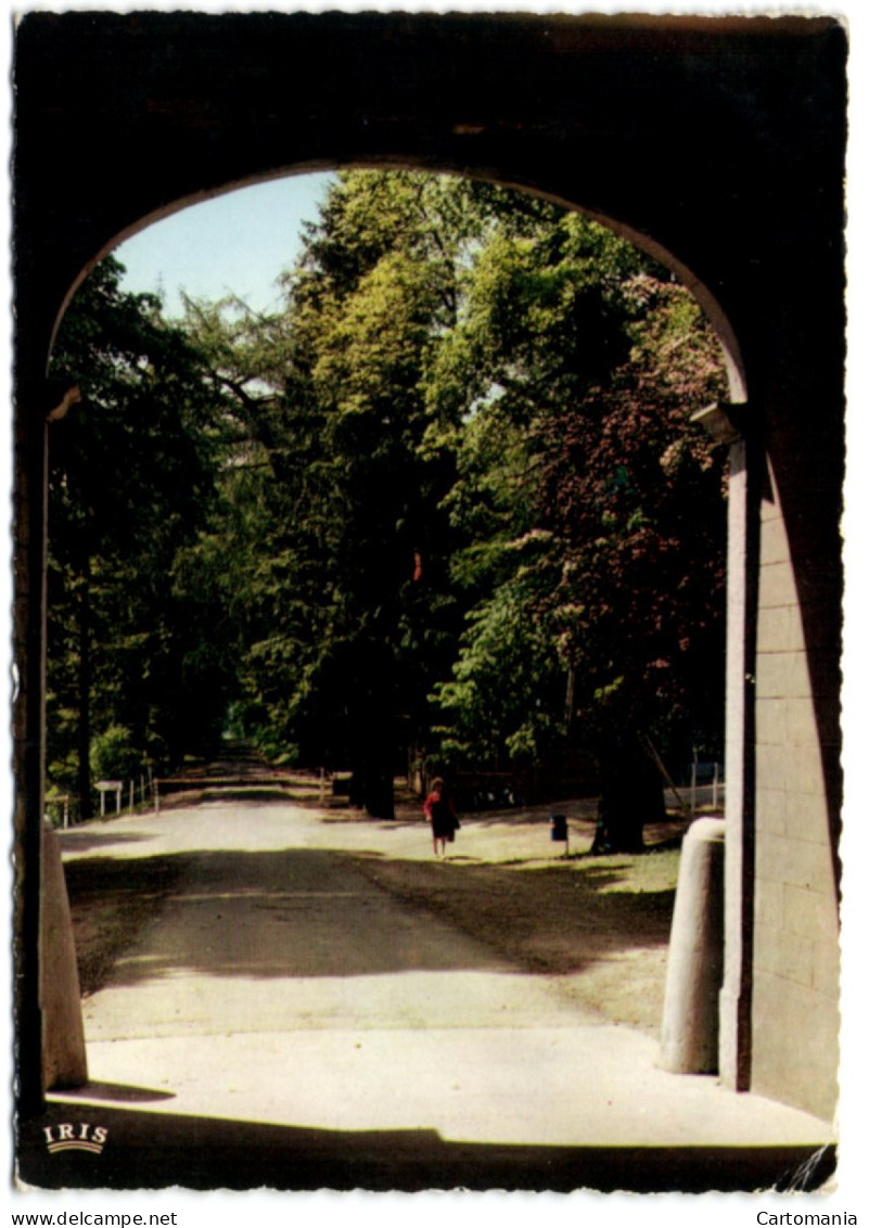 Oteppe - L'Hirondelle - Drève D'entrée Et Secrétariat - Burdinne