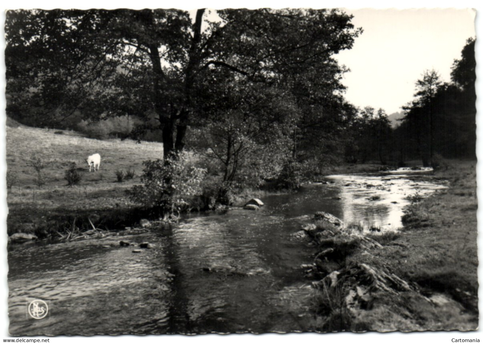 Bourseigne Neuve - La Houille Près Du Moulin - Gedinne