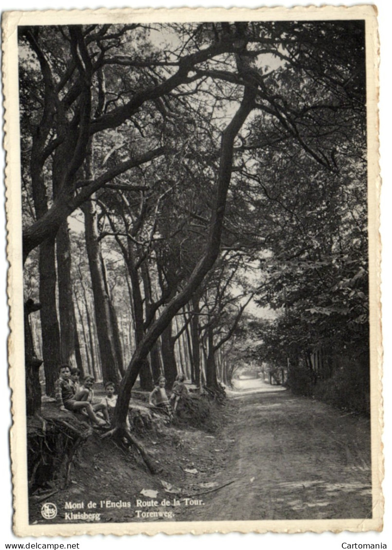 Mont-de-l'Enclus - Route De La Tour - Kluisbergen