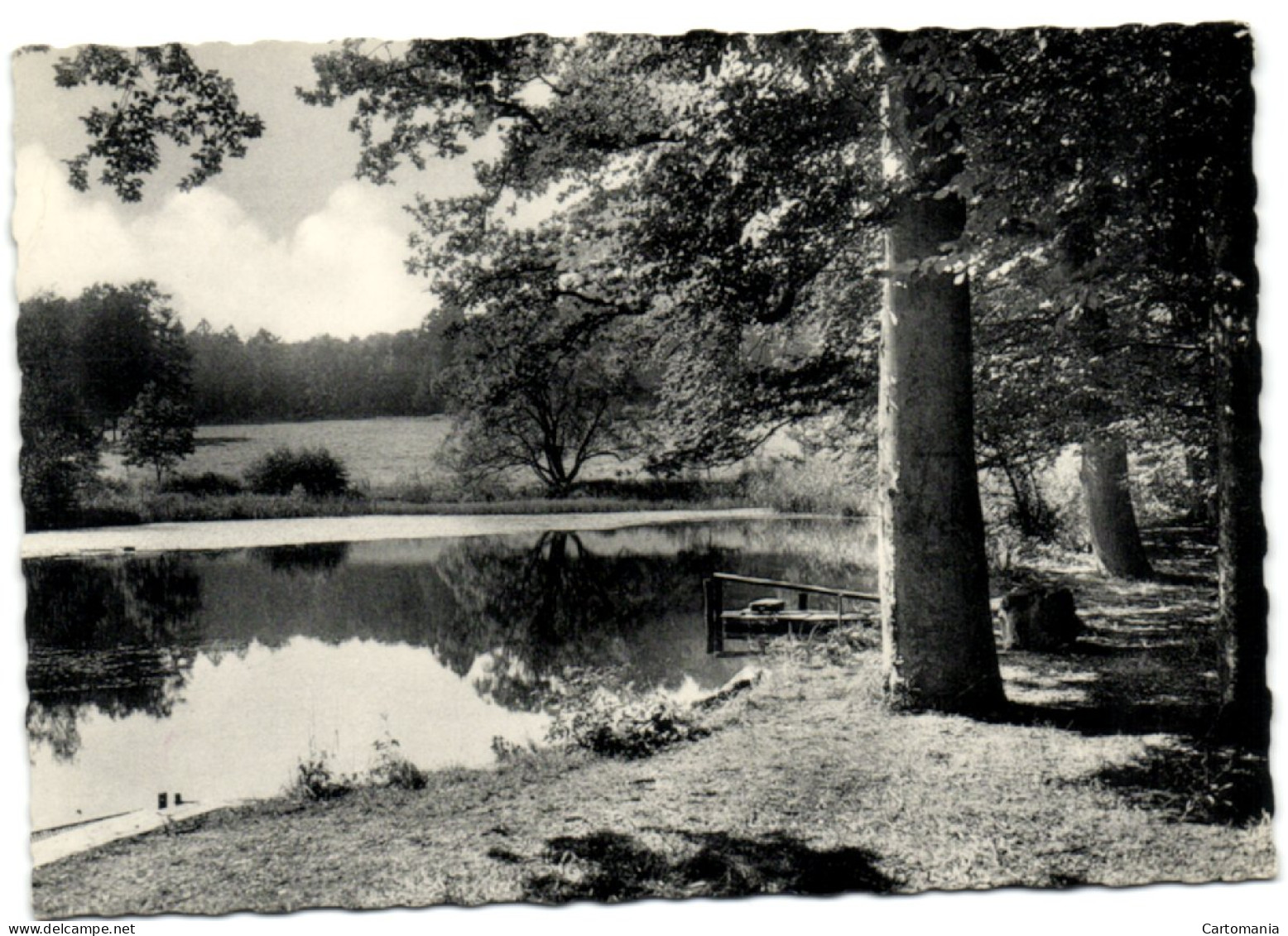 Bra S/Lienne - Château De Bra - Vue De L'étang - Lierneux