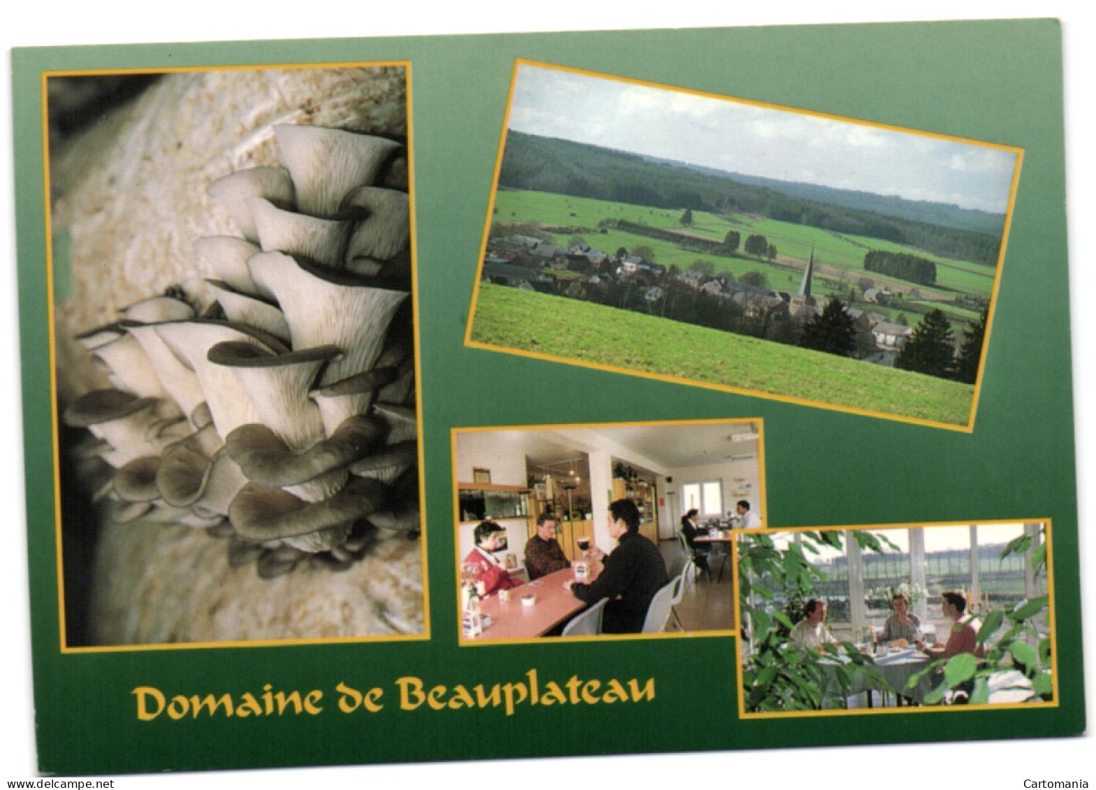 Sainte-Ode - Domaine De Beauplateau - Sainte-Ode