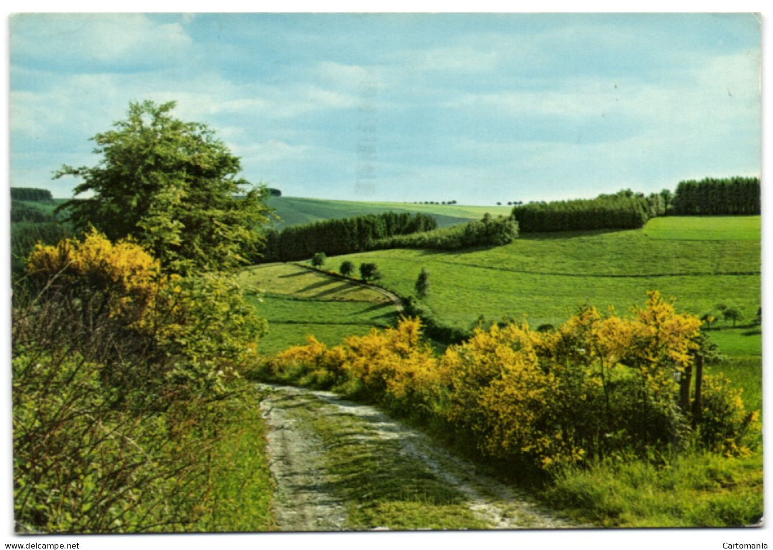 Im Ourtal - La Vallée De L'Our - Saint-Vith - Sankt Vith