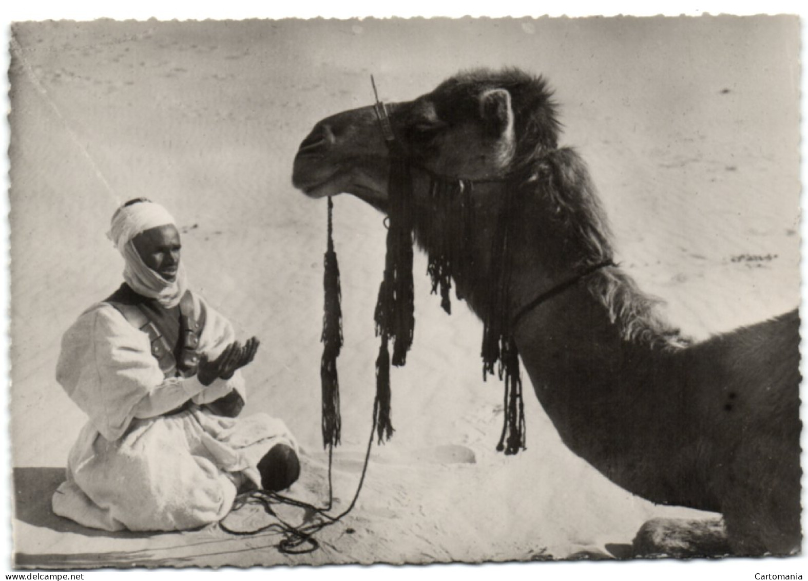 Collection Saharienne - L'Homme Pire La Bête Médite - Western Sahara