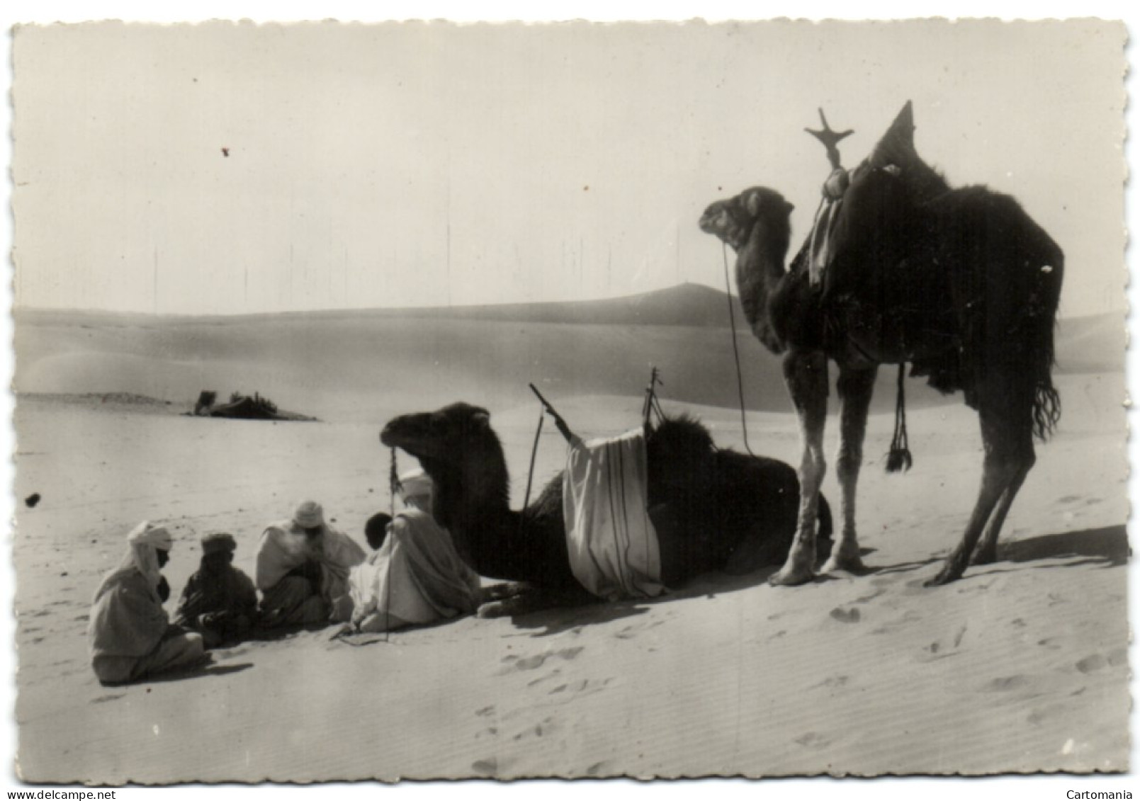 Collection Artistique L'Afrique - Un Puits Dans Les Sables - Sahara Occidental
