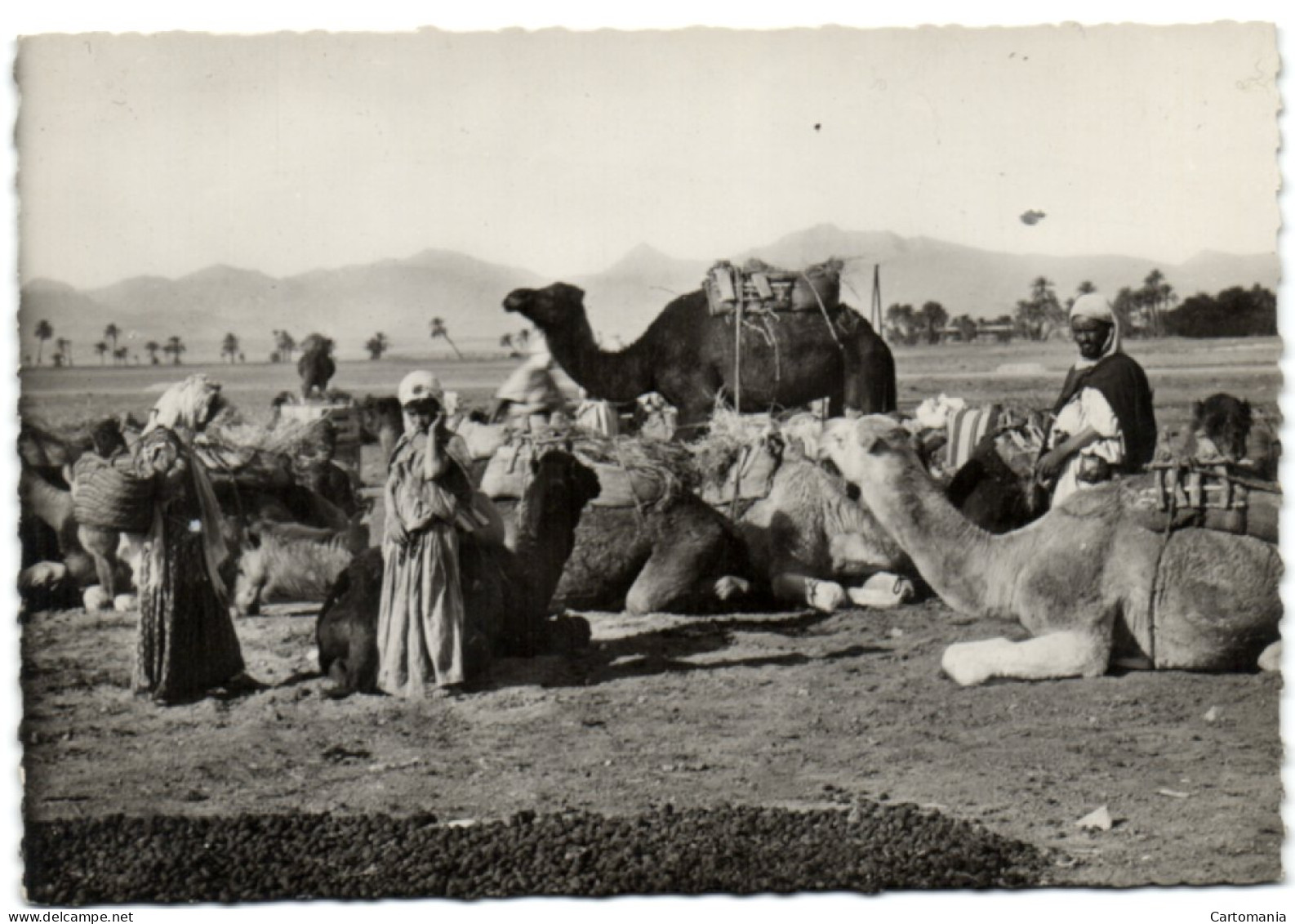 Collection Saharienne - Halte En Vue Du Campement - Sahara Occidentale