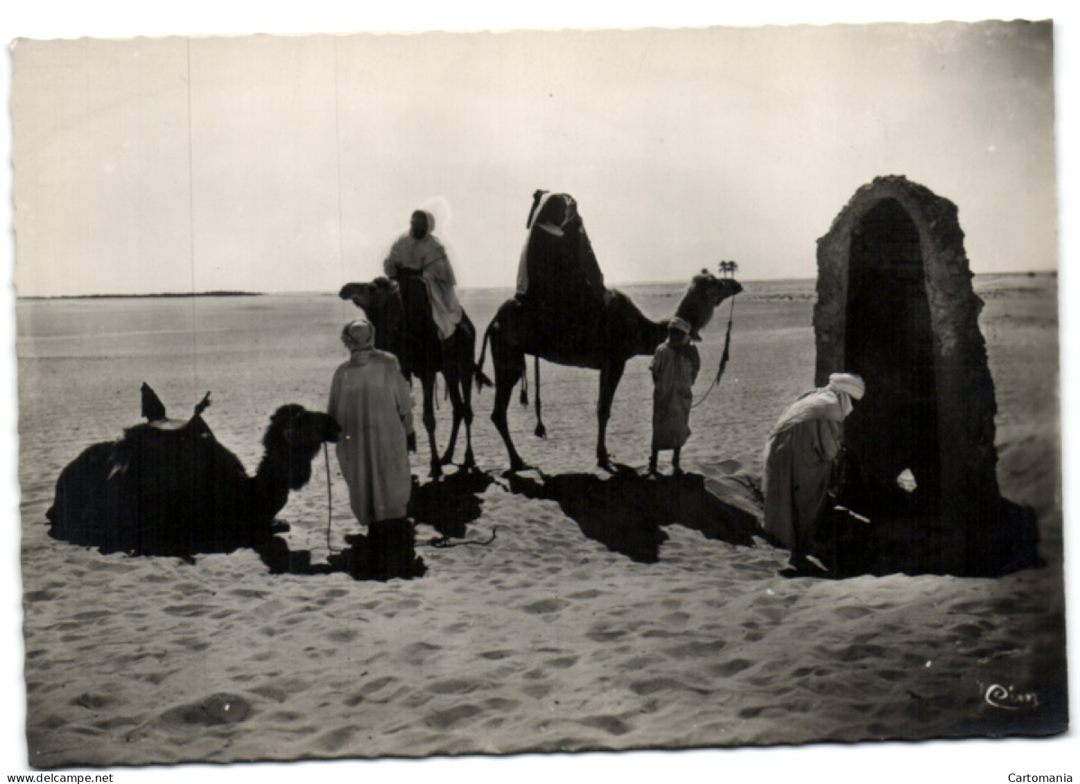 Collection Saharienne - Halte Près De L'Oasis - Westsahara