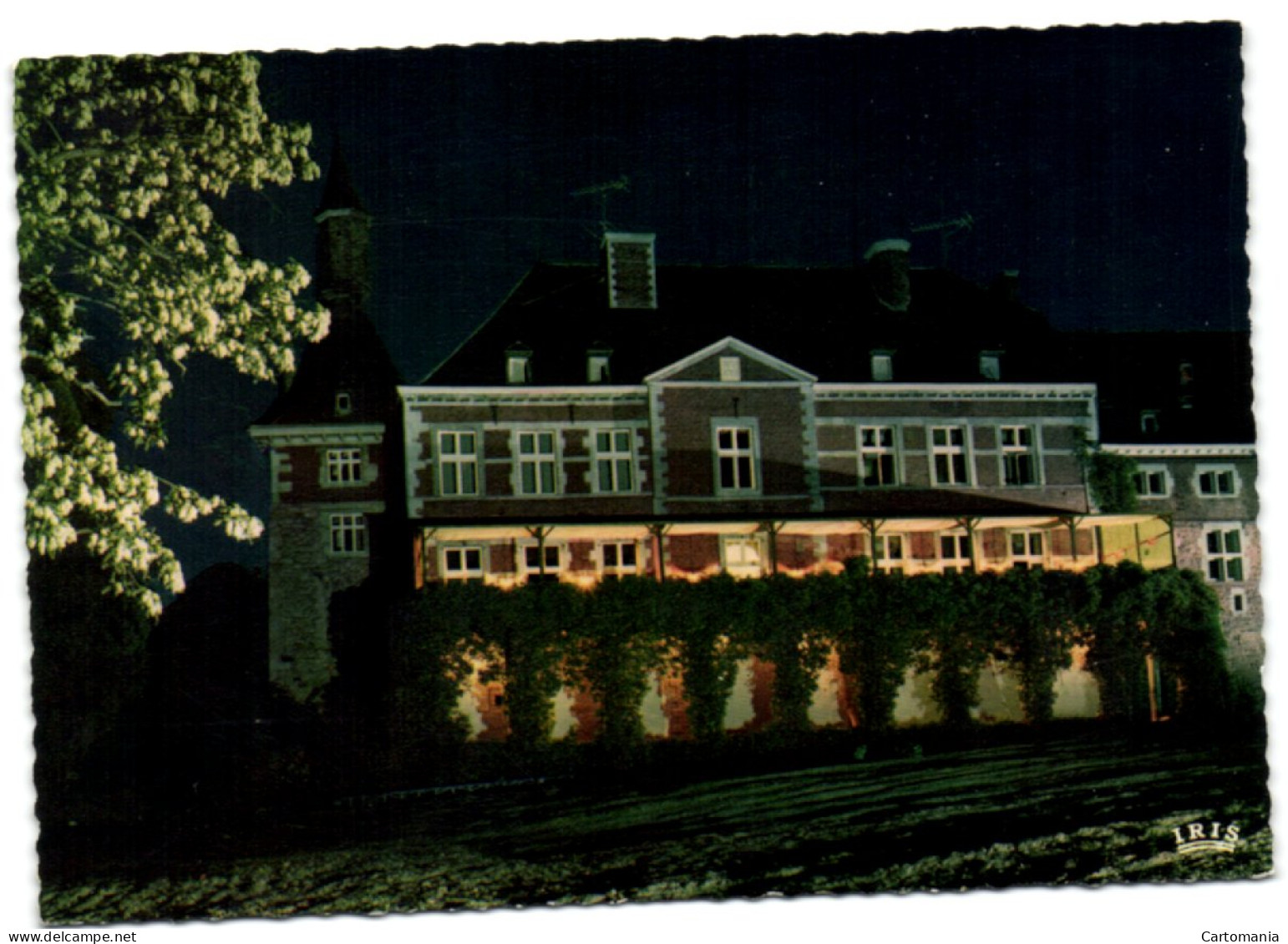 Oteppe - L'Hirondelle - Illuminations - Le Château - Burdinne