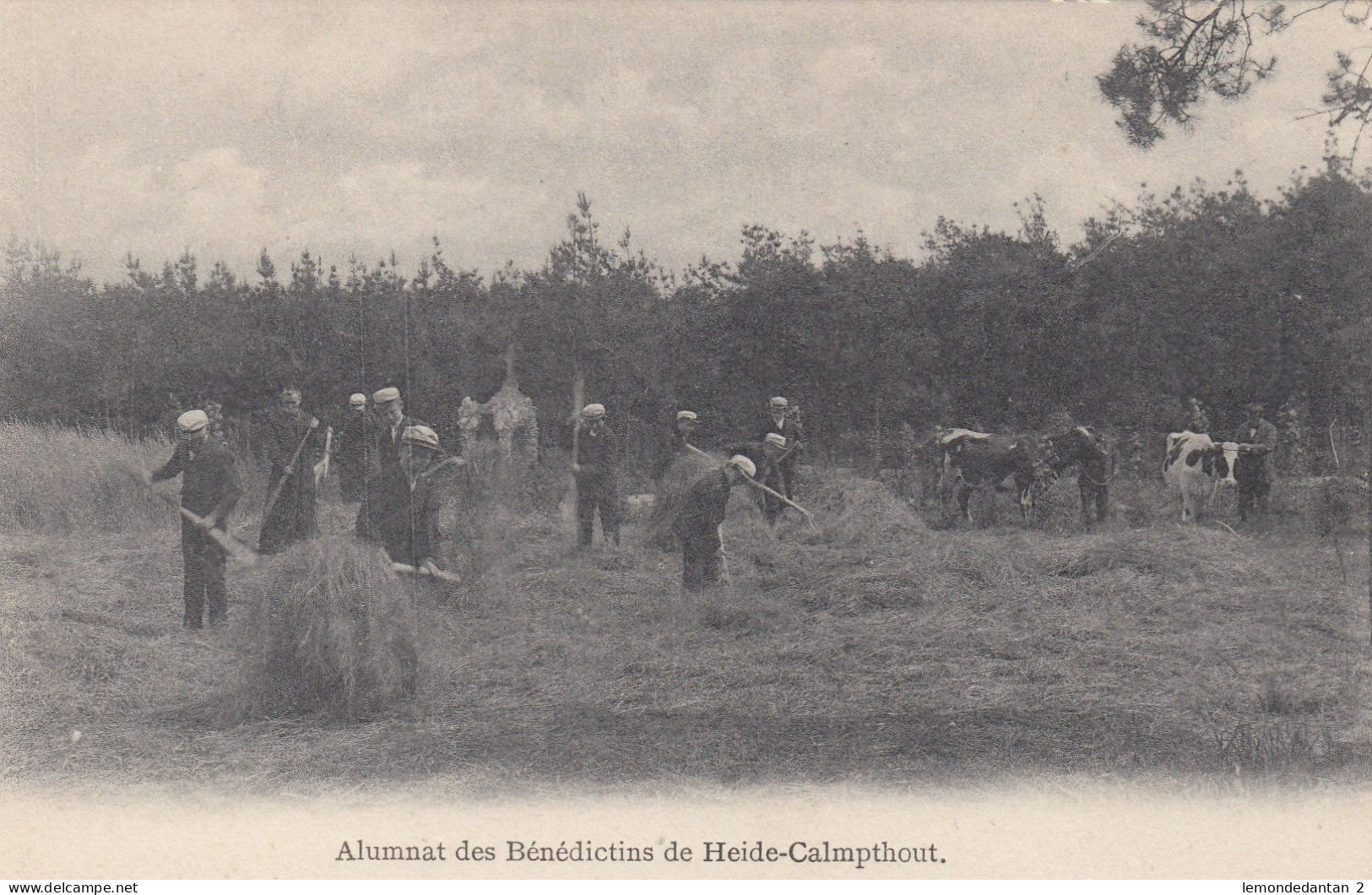 Heide-Calmpthout - Alumnat Des Bénédictins - Kalmthout