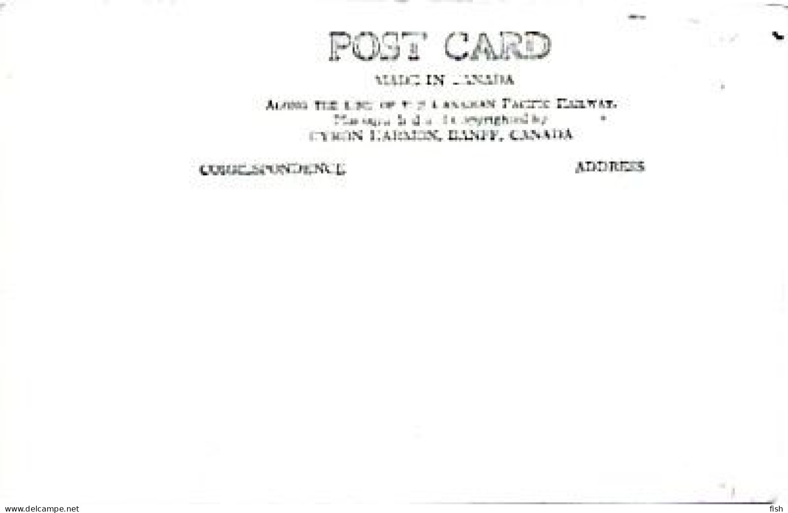 United States & Maximum Card, Buffalo, Nacional Yellowstone Park 1981 (55654) - Maximum Cards