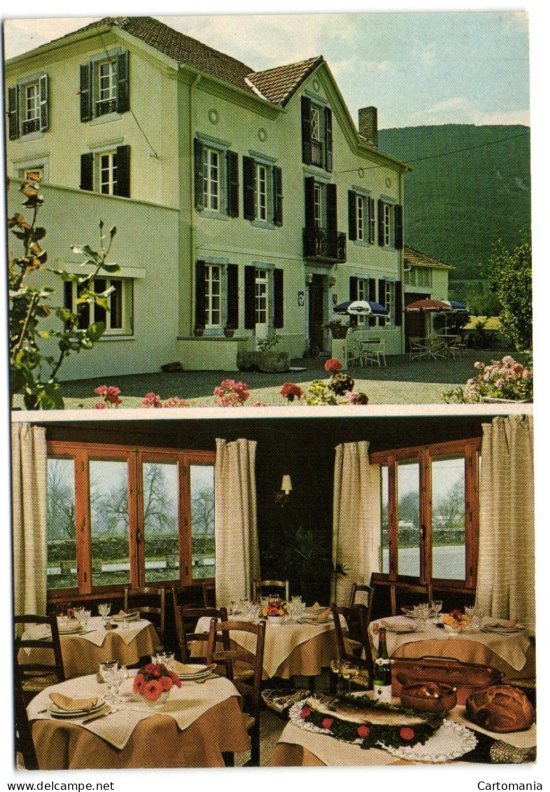 Siradan - Hôtel-Restaurant L'Orée Des Cimes - Mauleon Barousse