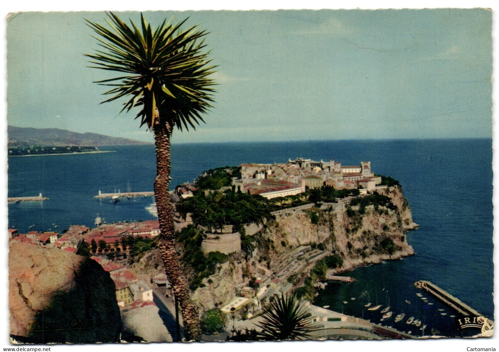 Principauté De Monaco - Le Rocher De Monaco Vu Du Jardin Exotique - Exotische Tuin