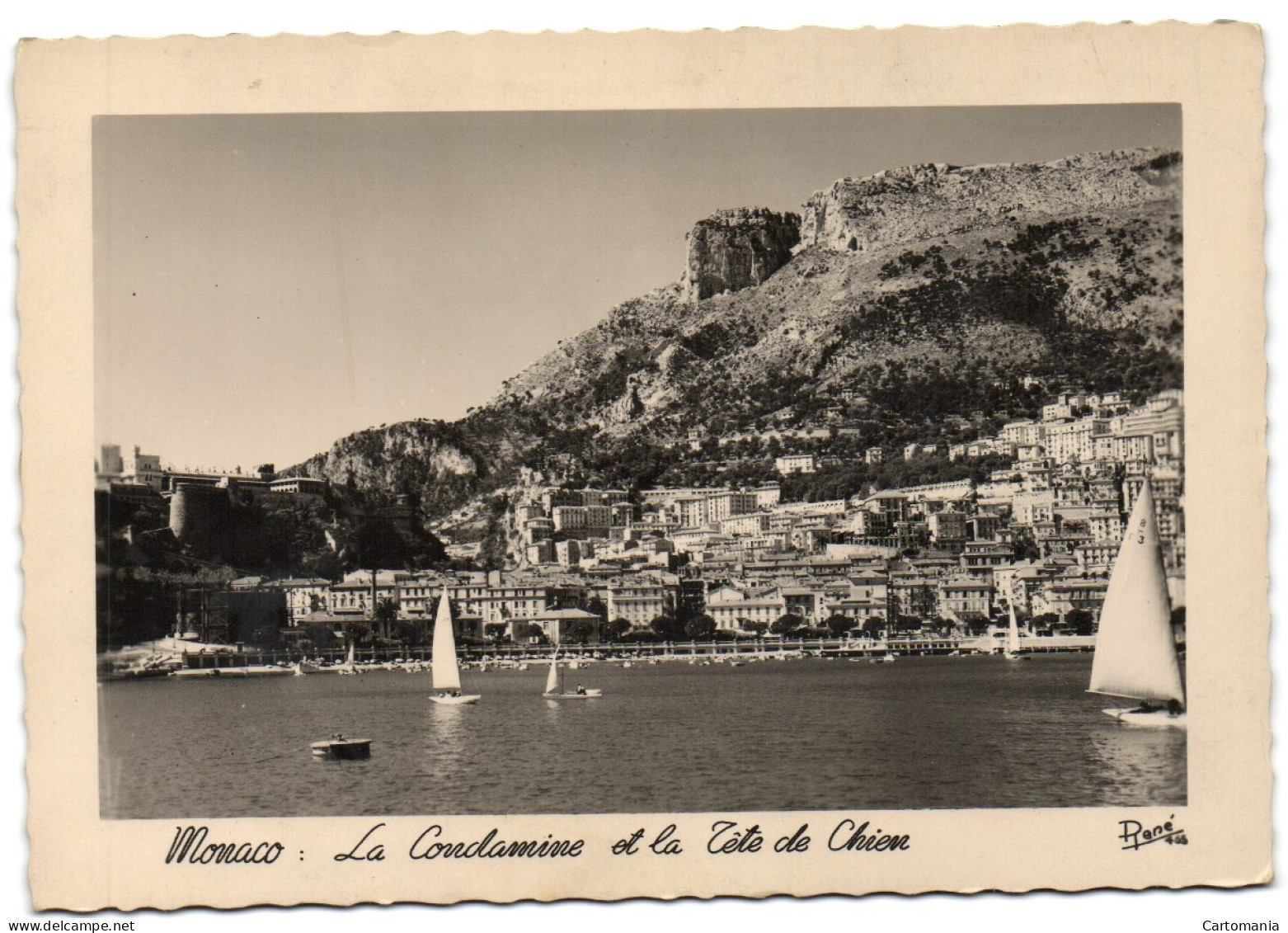 Monaco - La Condamine Et La Tête De Chien - La Condamine