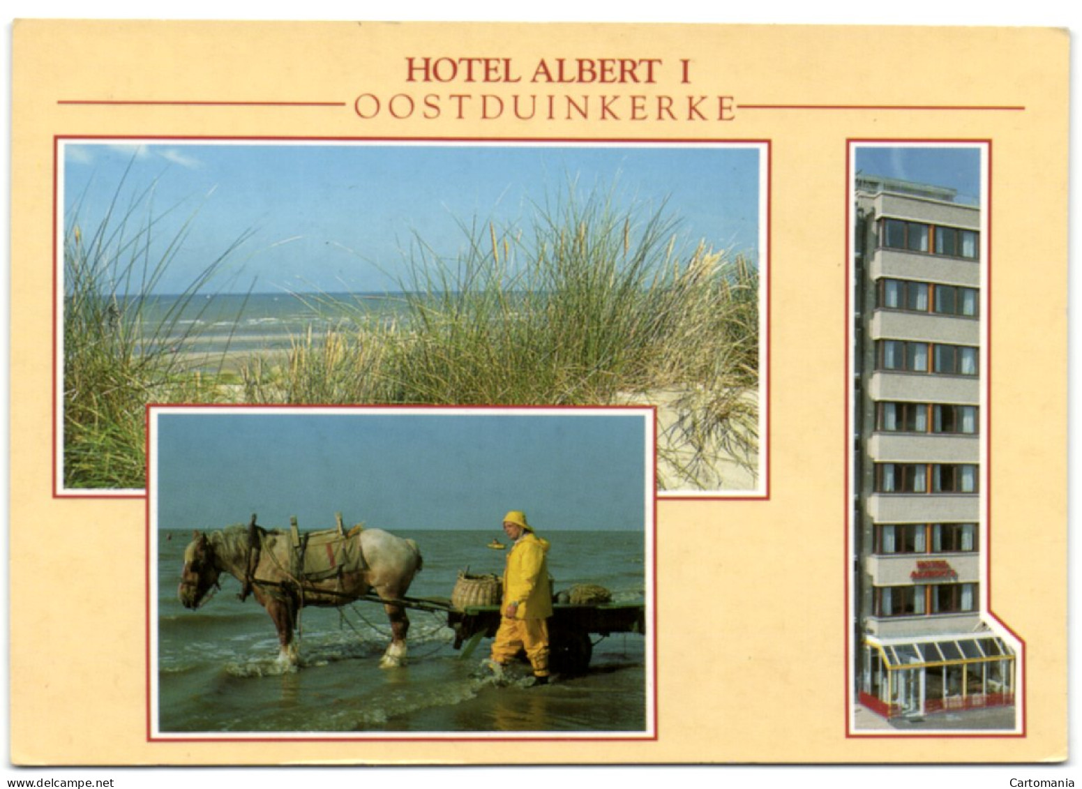 Oostduinkerke - Hotel Albert I - Oostduinkerke