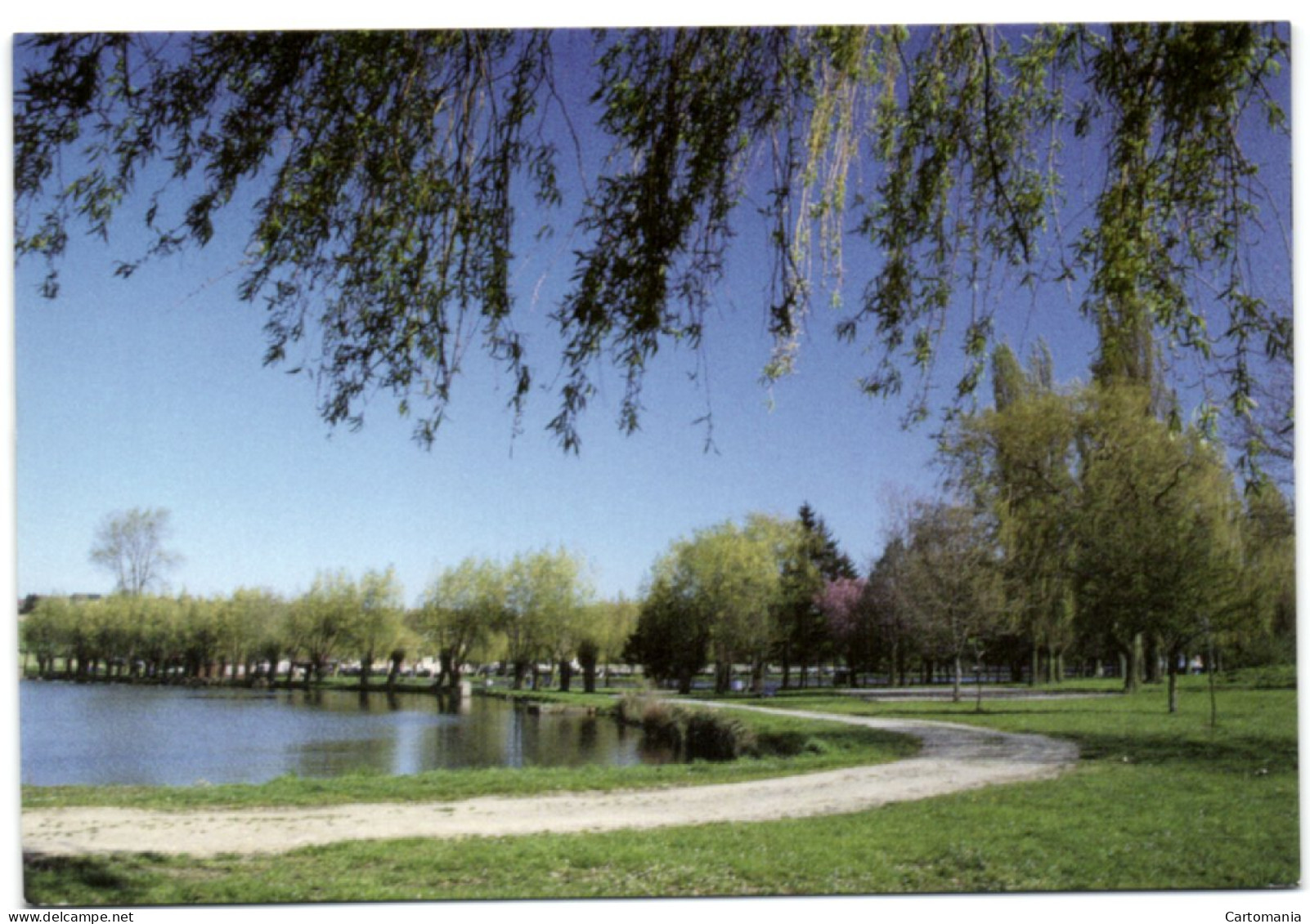 Tubize - Les étangs De Coeurcq - Tubize